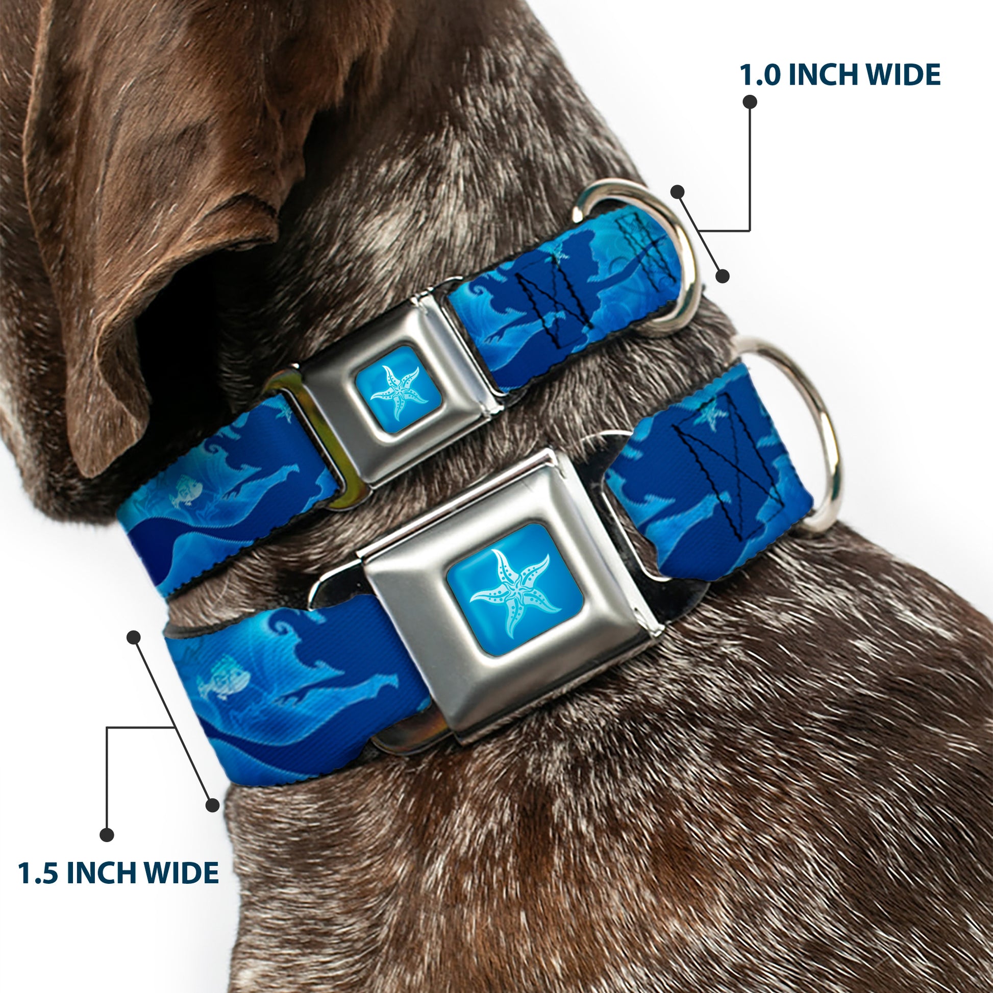 Ariel Daydreaming Full Color Blues Seatbelt Buckle Collar - Ariel Silhouette Poses/Castle Blues Seatbelt Buckle Collars Disney