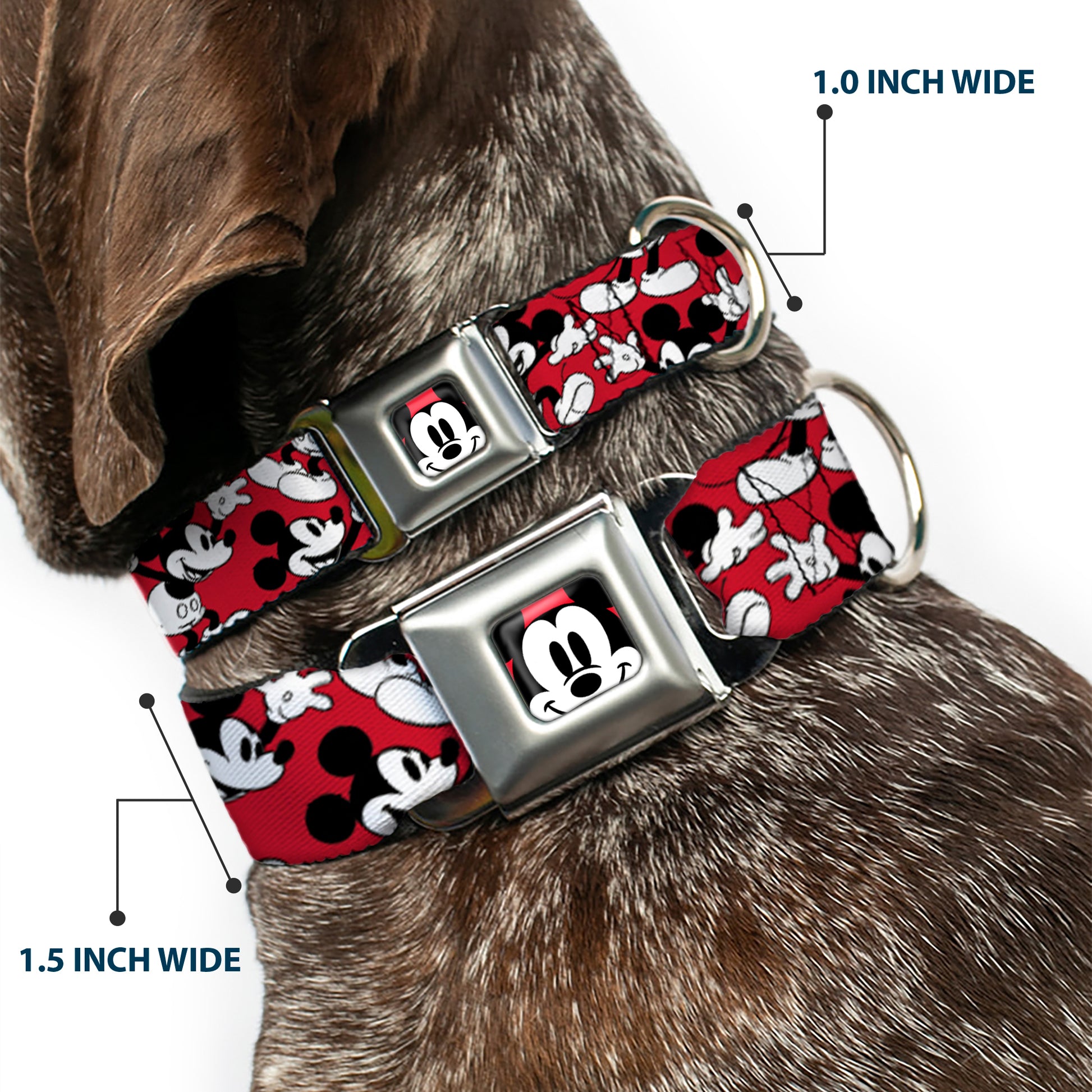 Mickey Mouse Face2 CLOSE-UP Full Color Red Black White Seatbelt Buckle Collar - Mickey Mouse Poses Scattered Red/Black/White Seatbelt Buckle Collars Disney