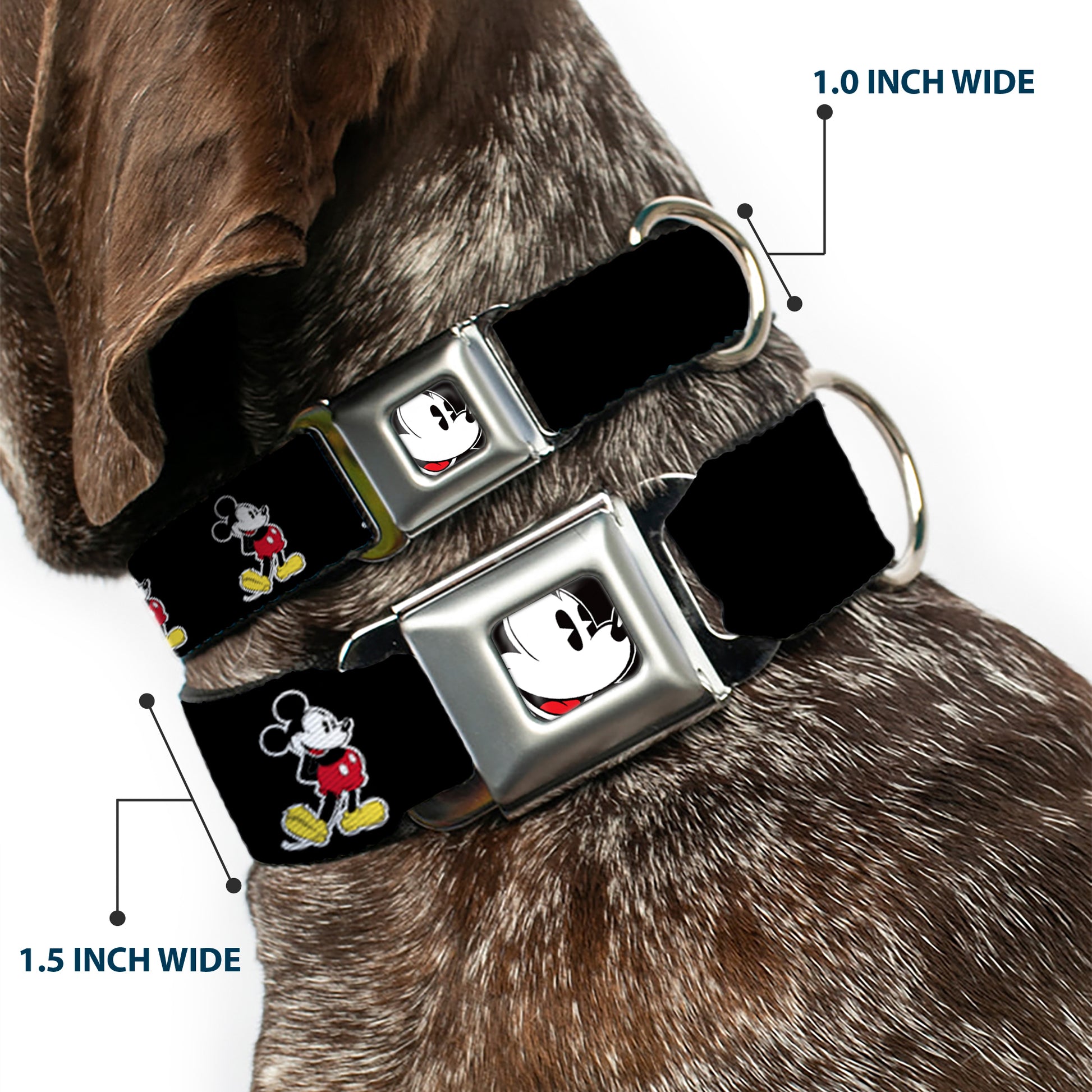 Classic Mickey Mouse Face CLOSE-UP Full Color Seatbelt Buckle Collar - Classic Mickey Mouse Pose Black Seatbelt Buckle Collars Disney