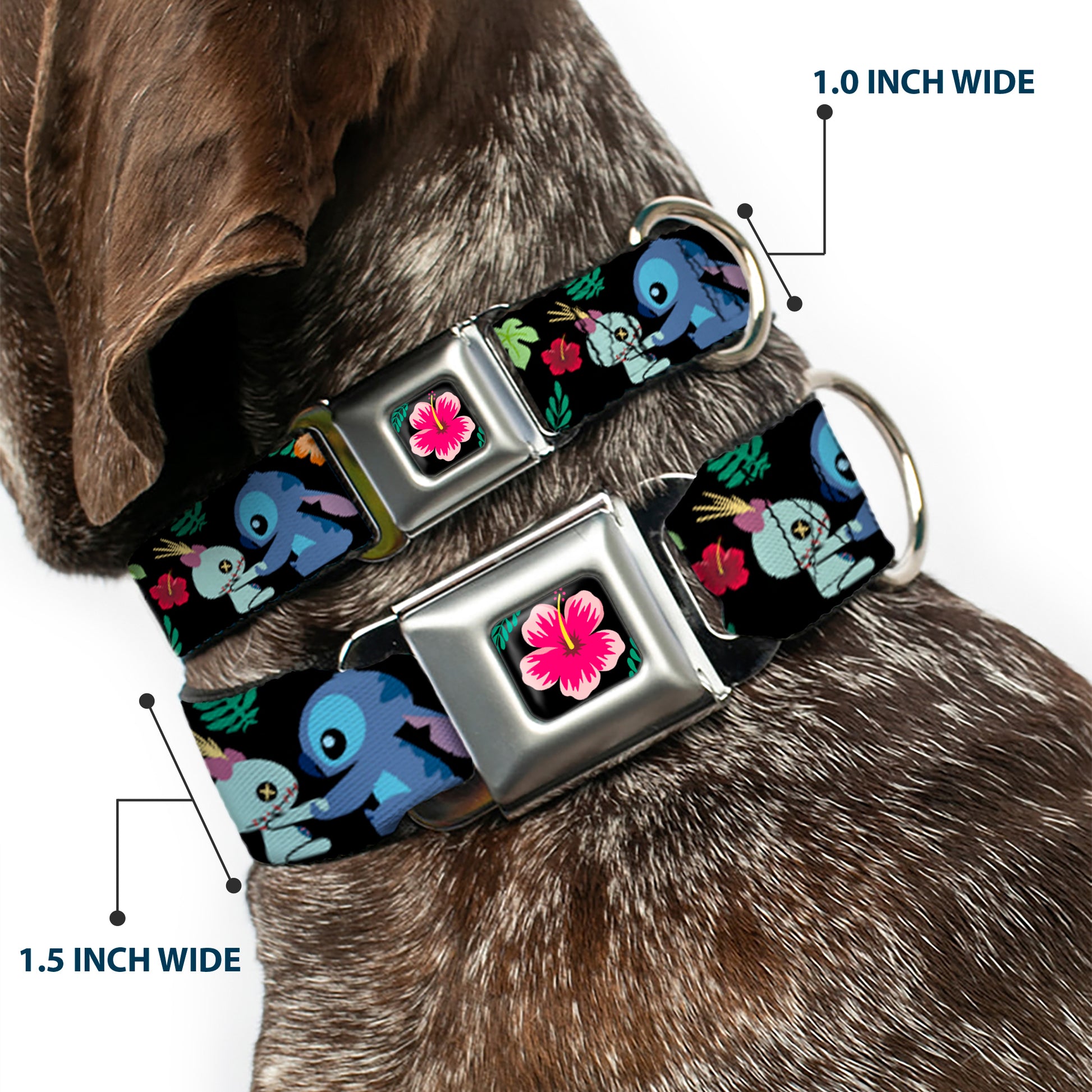 Lilo & Stitch Hibiscus Flower Full Color Black/Pink Seatbelt Buckle Collar - Stitch & Scrump Poses/Tropical Flora Seatbelt Buckle Collars Disney