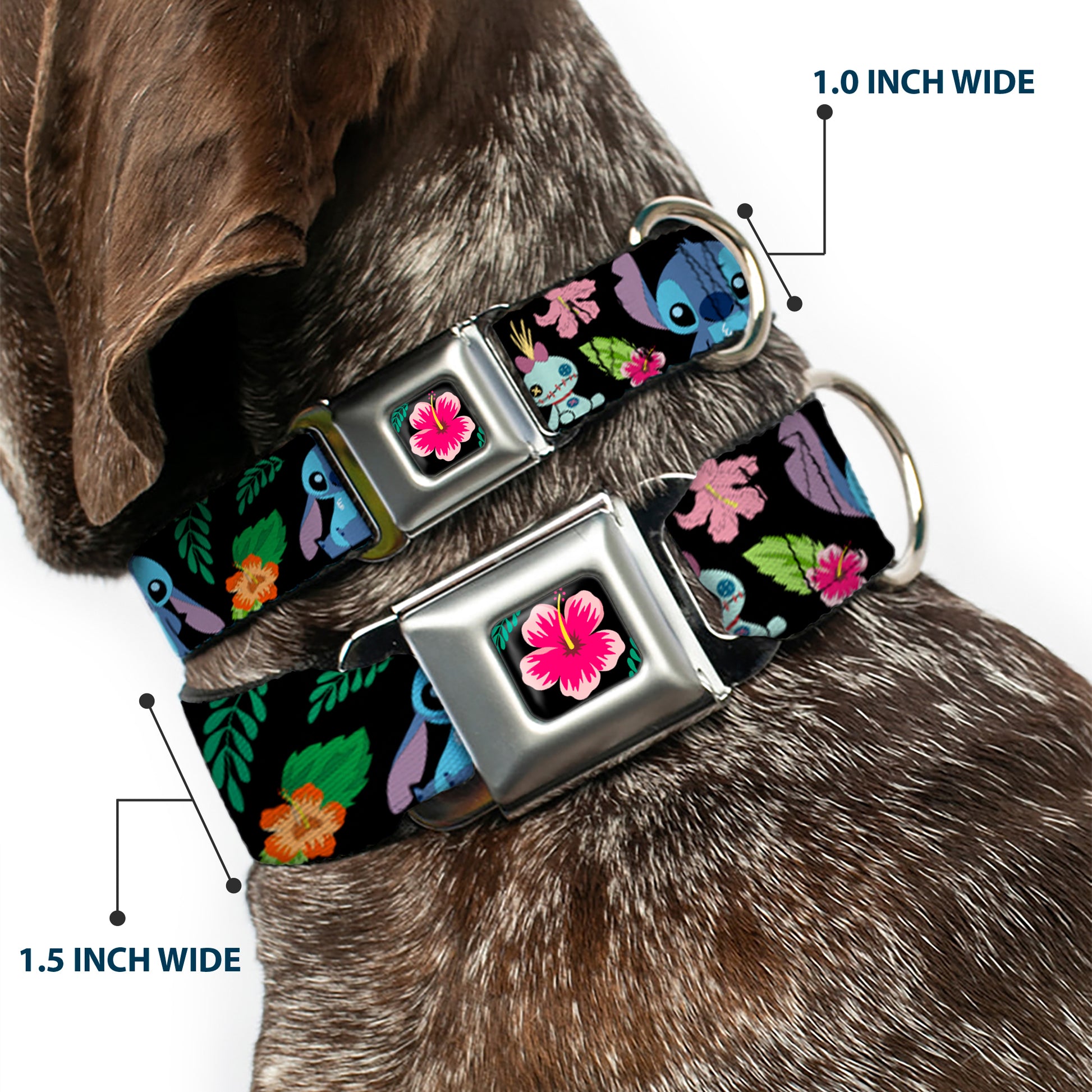 Lilo & Stitch Hibiscus Flower Full Color Black Pink Seatbelt Buckle Collar - OHANA MEANS FAMILY/Stitch & Scrump Poses/Tropical Flora Black/White/Multi Color Seatbelt Buckle Collars Disney