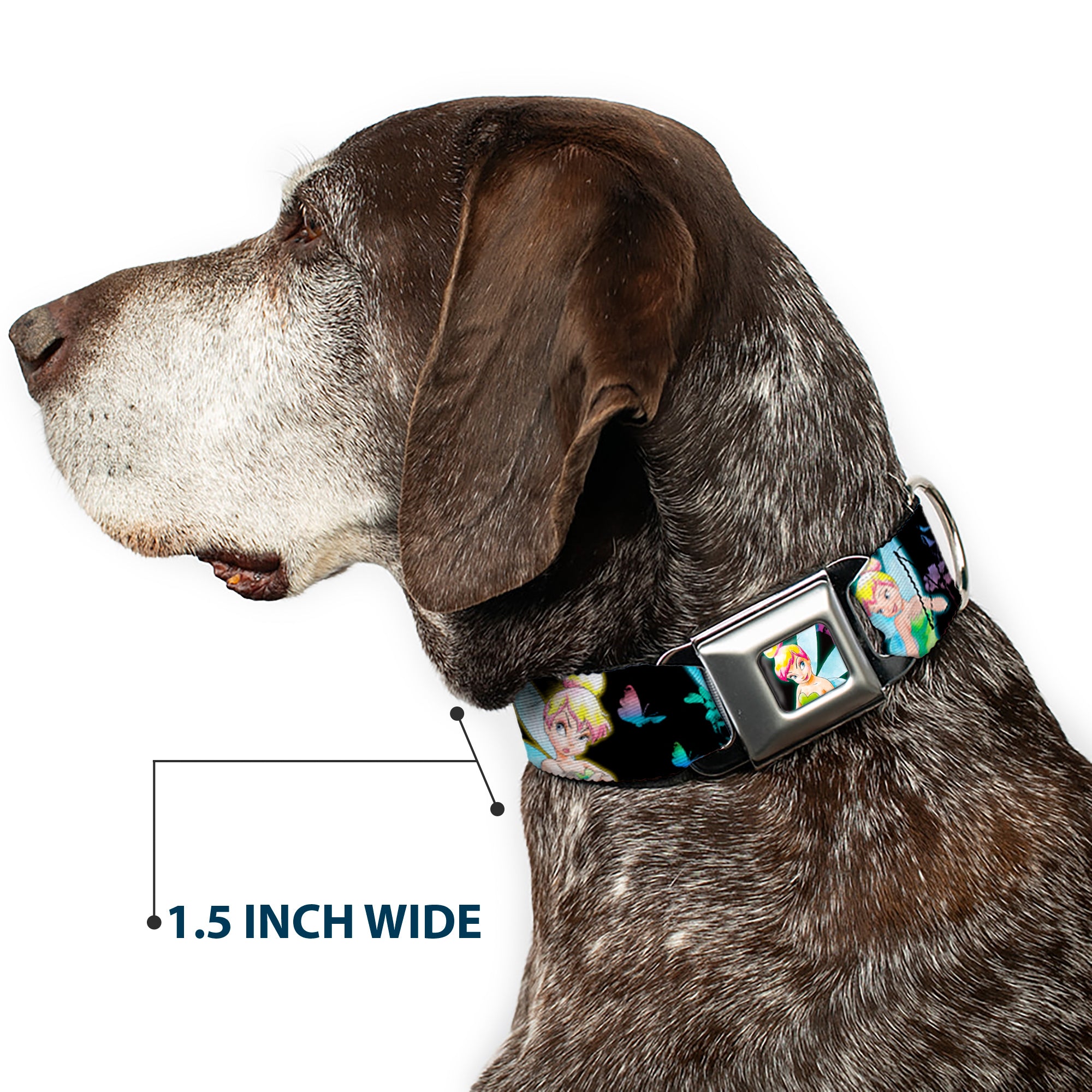 Glowing Tinker Bell Pose Full Color Seatbelt Buckle Collar - Glowing Tinker Bell Poses/Butterflies & Flowers Black/Multi Neon Seatbelt Buckle Collars Disney