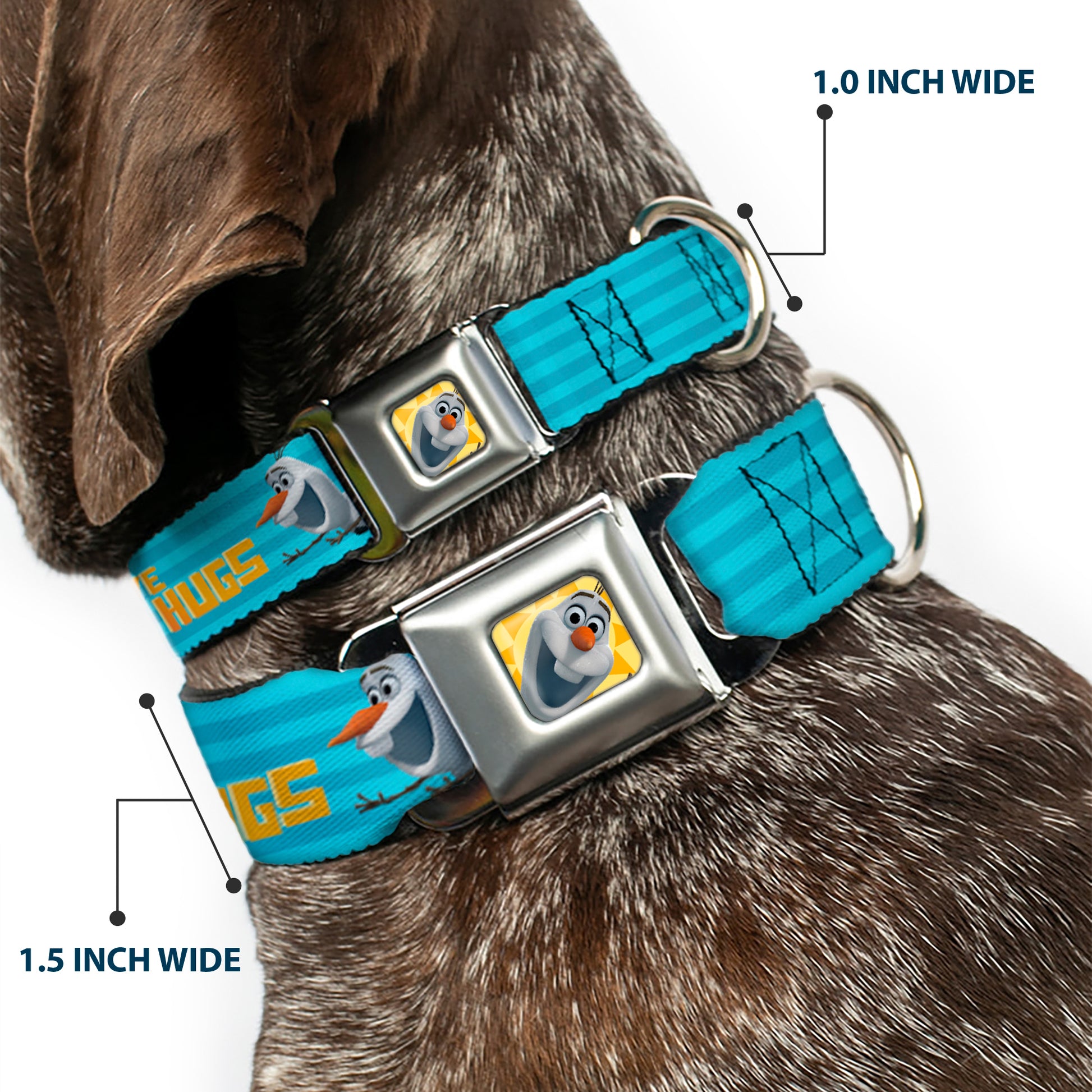 Olaf Face Frozen Sun Full Color Seatbelt Buckle Collar - Olaf Pose I LOVE WARM HUGS Stripe Blues Seatbelt Buckle Collars Disney