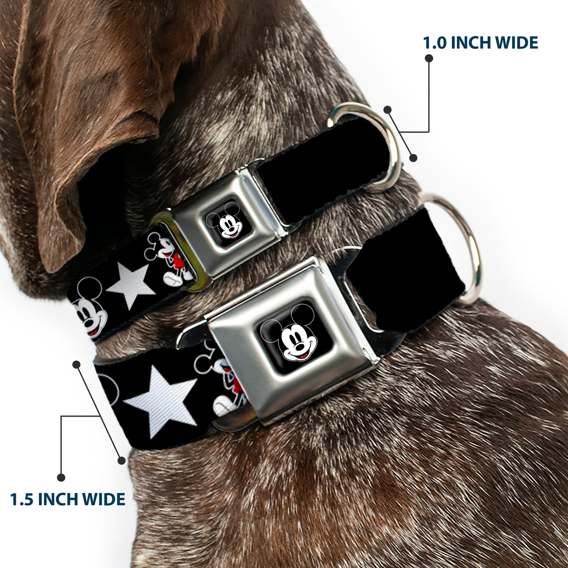 Mickey Mouse Face Full Color Black Seatbelt Buckle Collar - Classic Mickey Mouse 1928 Collage Black/White/Red Seatbelt Buckle Collars Disney