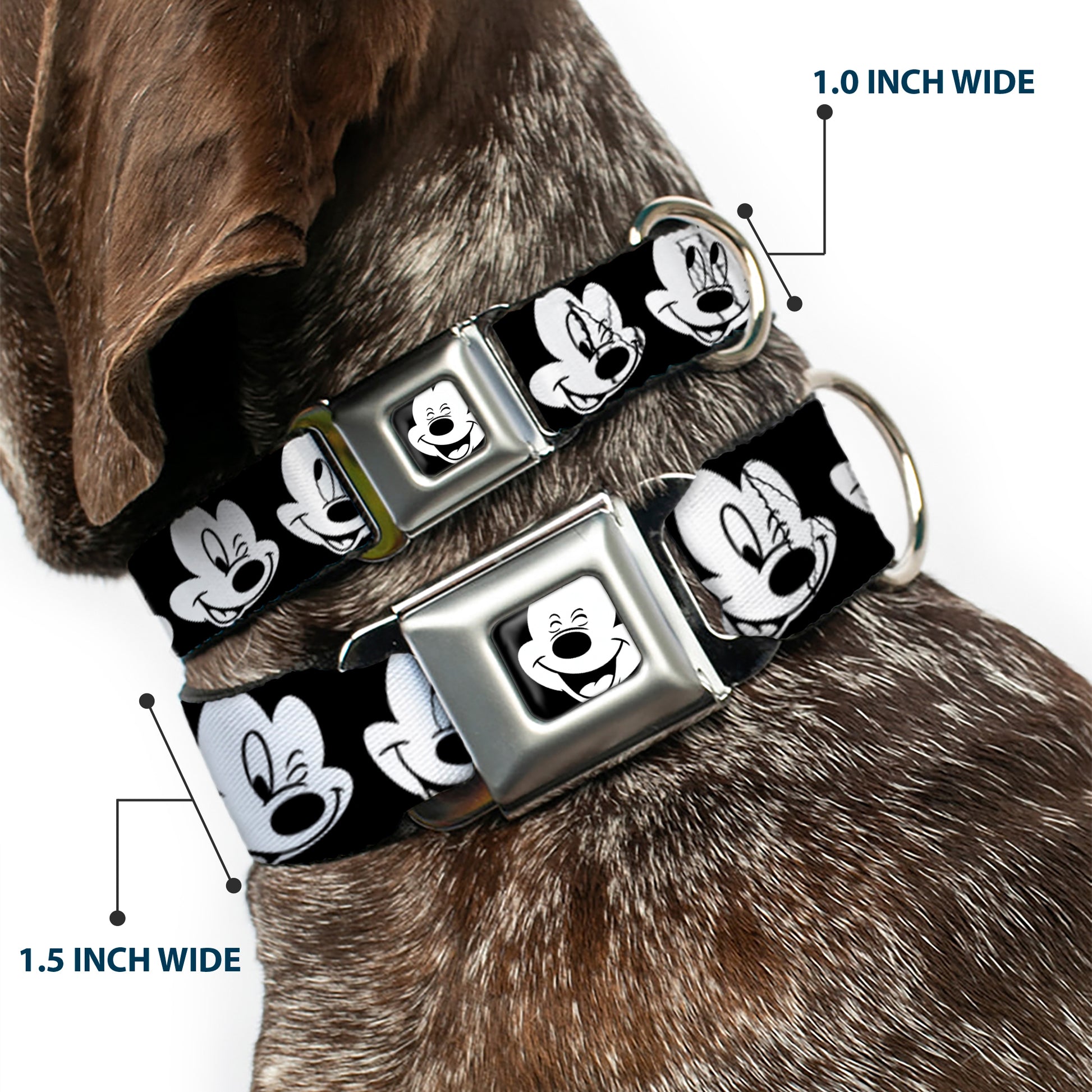 Mickey Mouse Face3 CLOSE-UP Full Color Black/White Seatbelt Buckle Collar - Mickey Mouse Expressions CLOSE-UP Black/White Seatbelt Buckle Collars Disney