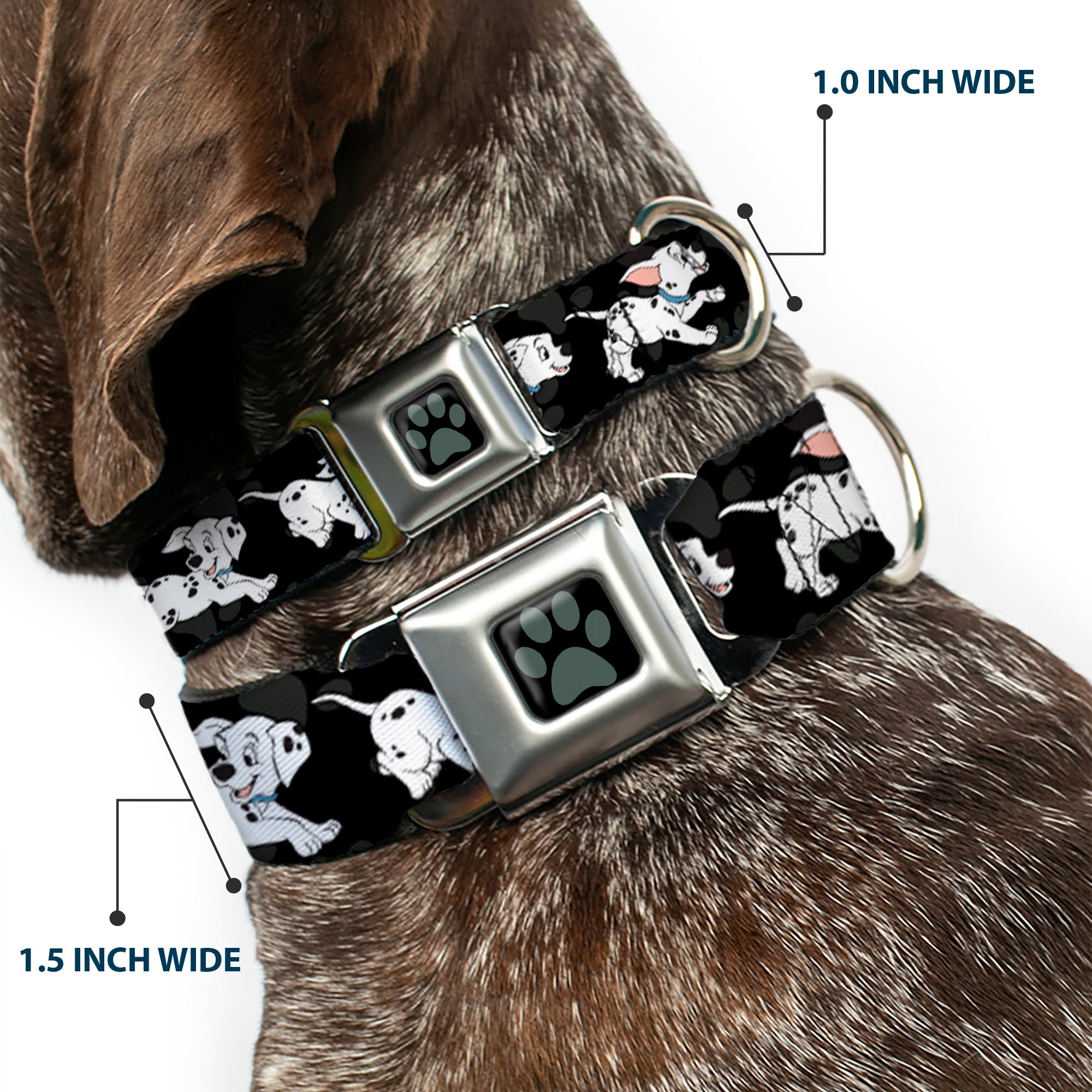 Dalmatian Paw Full Color Black Gray Seatbelt Buckle Collar - Dalmatians Running/Paws Black/Gray/White/Black Seatbelt Buckle Collars Disney