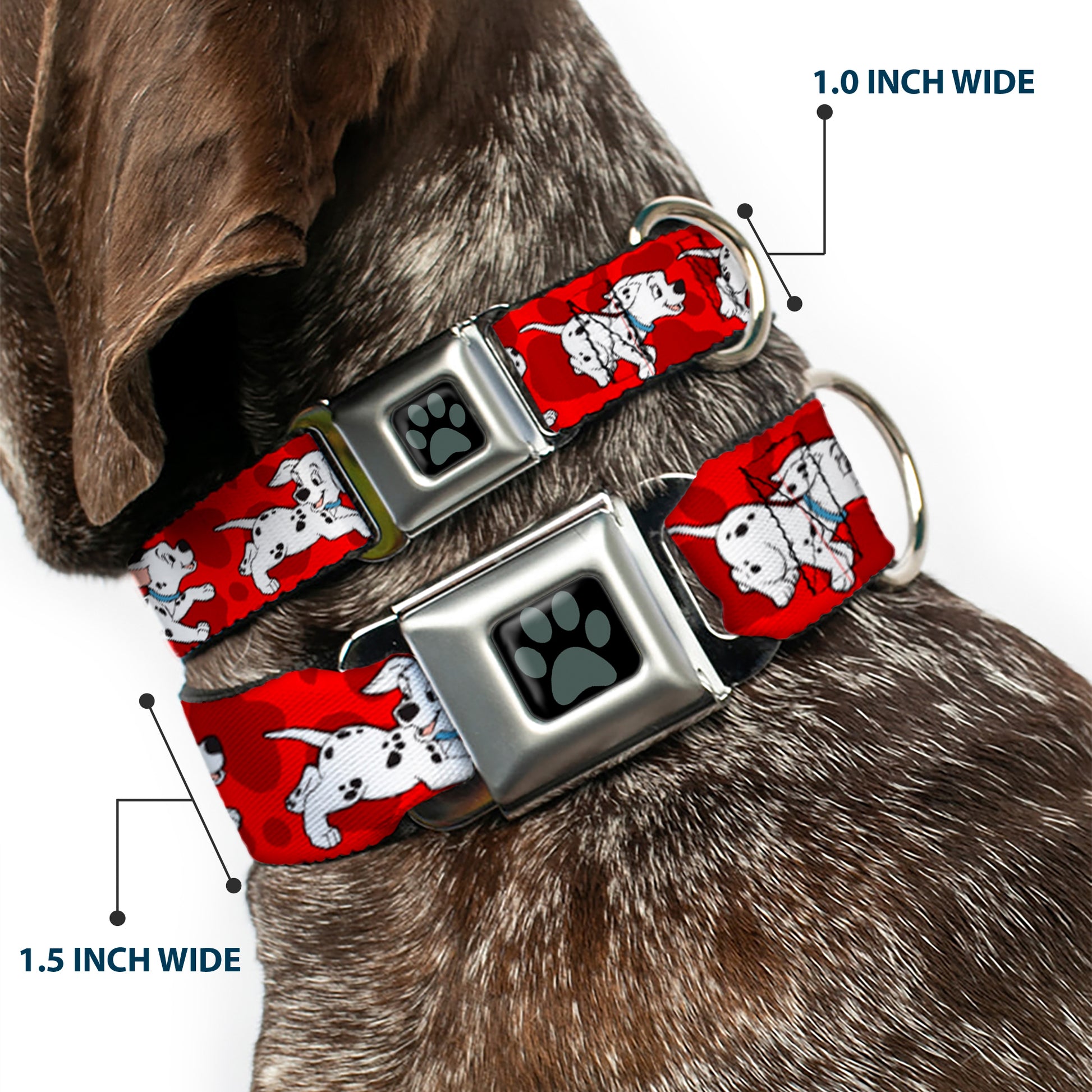 Dalmatian Paw Full Color Black Gray Seatbelt Buckle Collar - Dalmatians Running/Paws Reds/White/Black Seatbelt Buckle Collars Disney