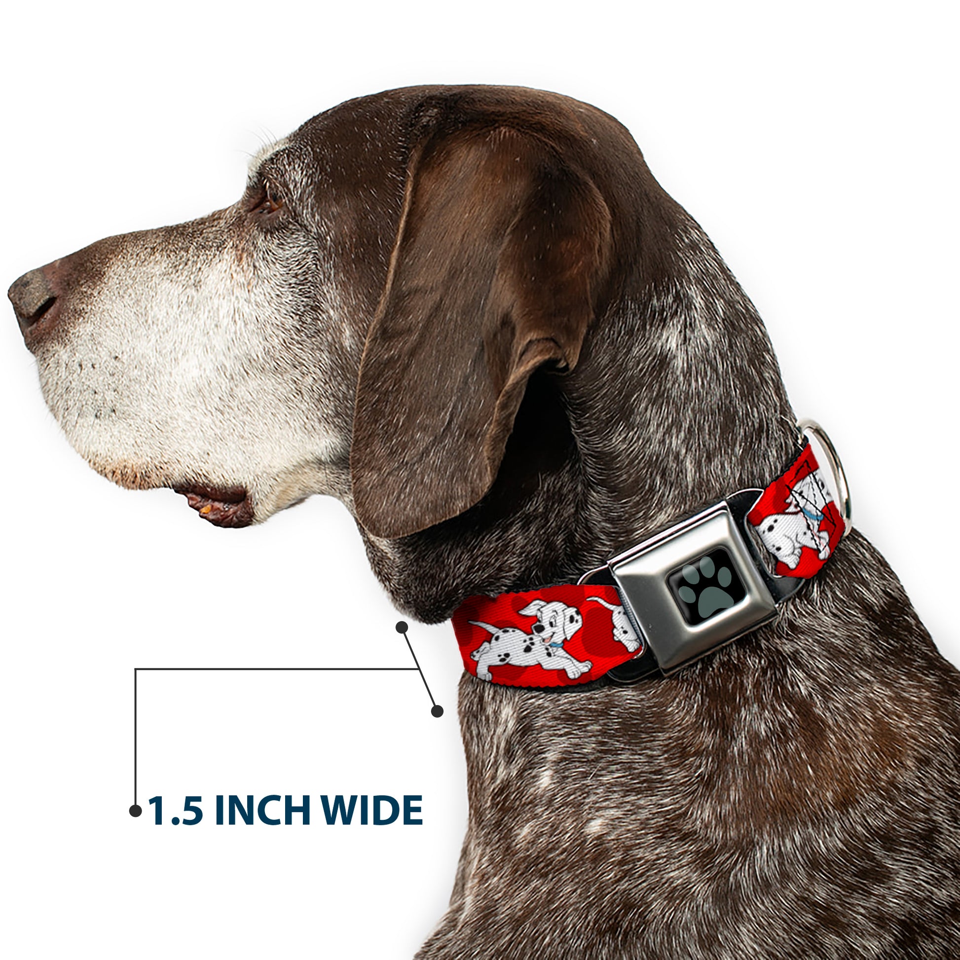 Dalmatian Paw Full Color Black Gray Seatbelt Buckle Collar - Dalmatians Running/Paws Reds/White/Black Seatbelt Buckle Collars Disney