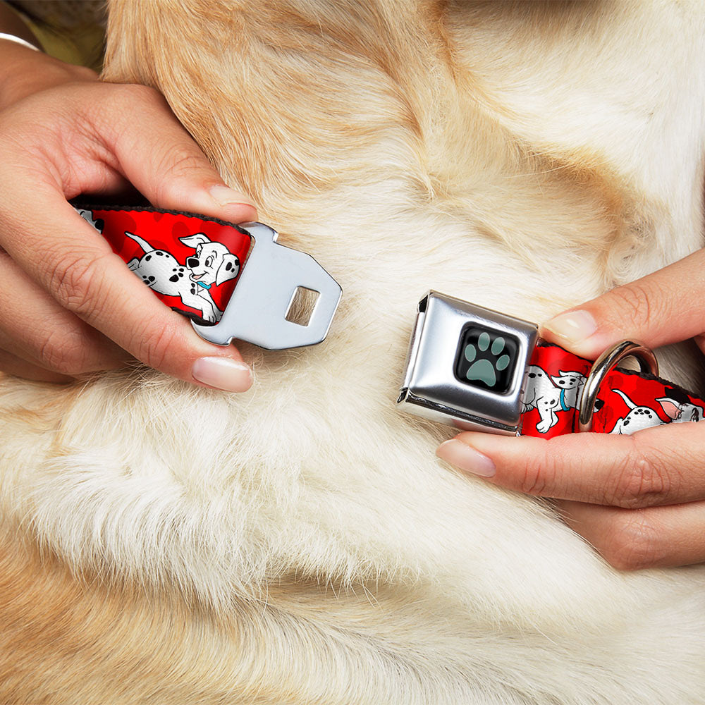 Dalmatian Paw Full Color Black Gray Seatbelt Buckle Collar - Dalmatians Running/Paws Reds/White/Black Seatbelt Buckle Collars Disney