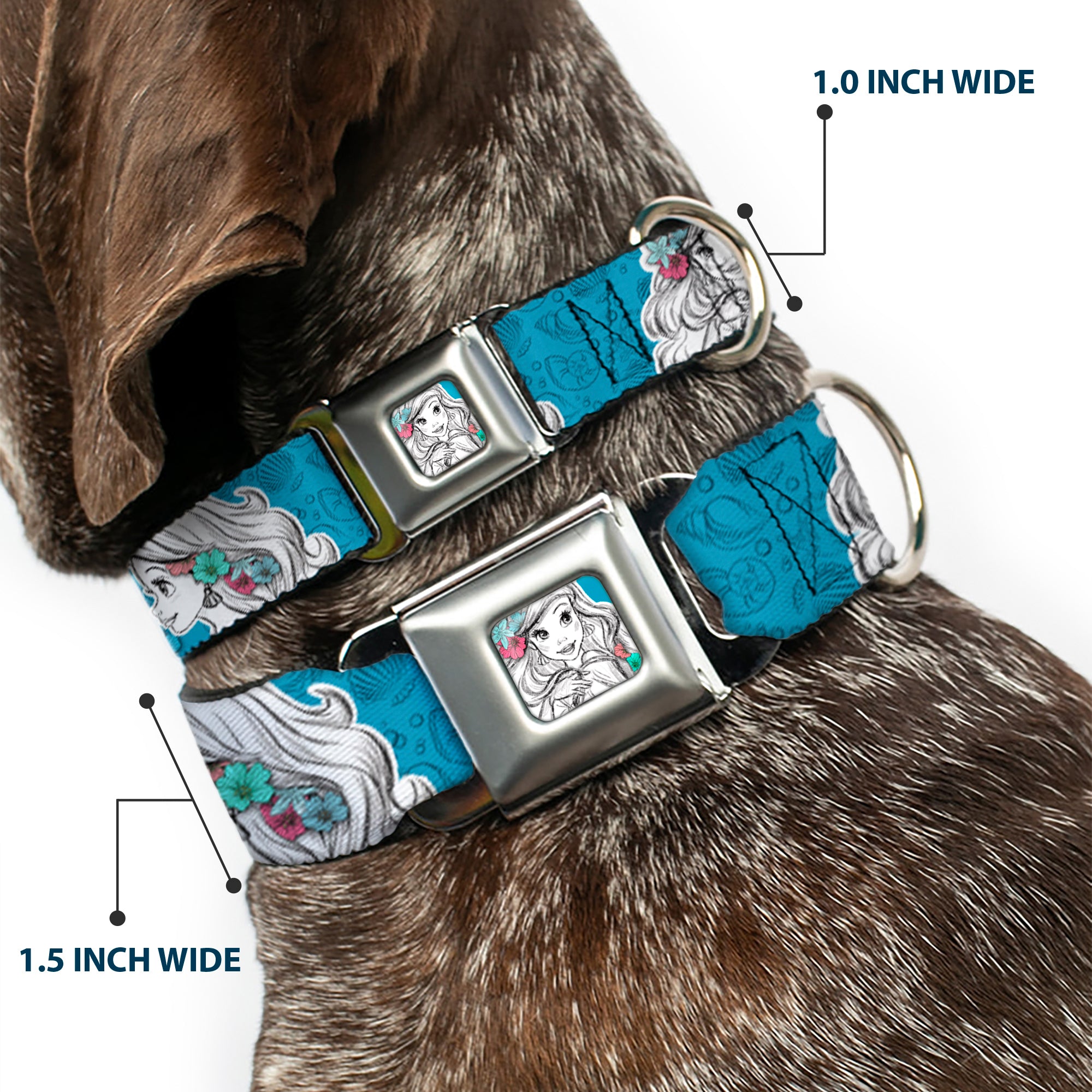 Ariel Sketch2 Pose Full Color Blue Seatbelt Buckle Collar - Ariel Poses/Shells Sketch Blue/White Seatbelt Buckle Collars Disney