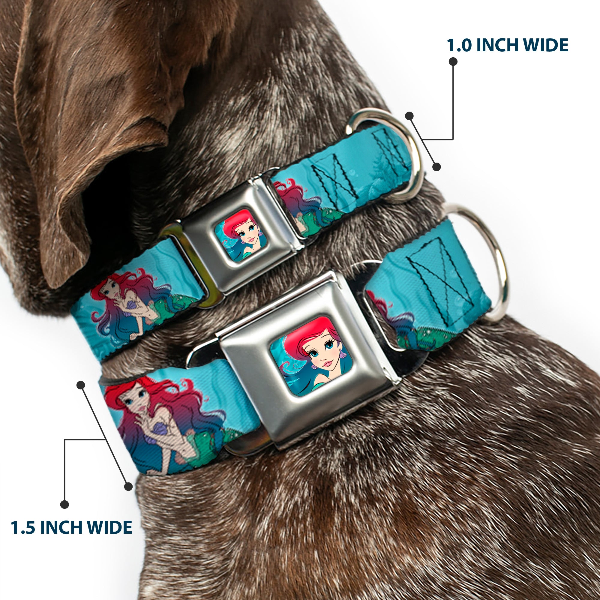 Ariel Face6 Turquoise Full Color Blues Seatbelt Buckle Collar - Ariel Poses Coral & Castle Blues/Reds Seatbelt Buckle Collars Disney