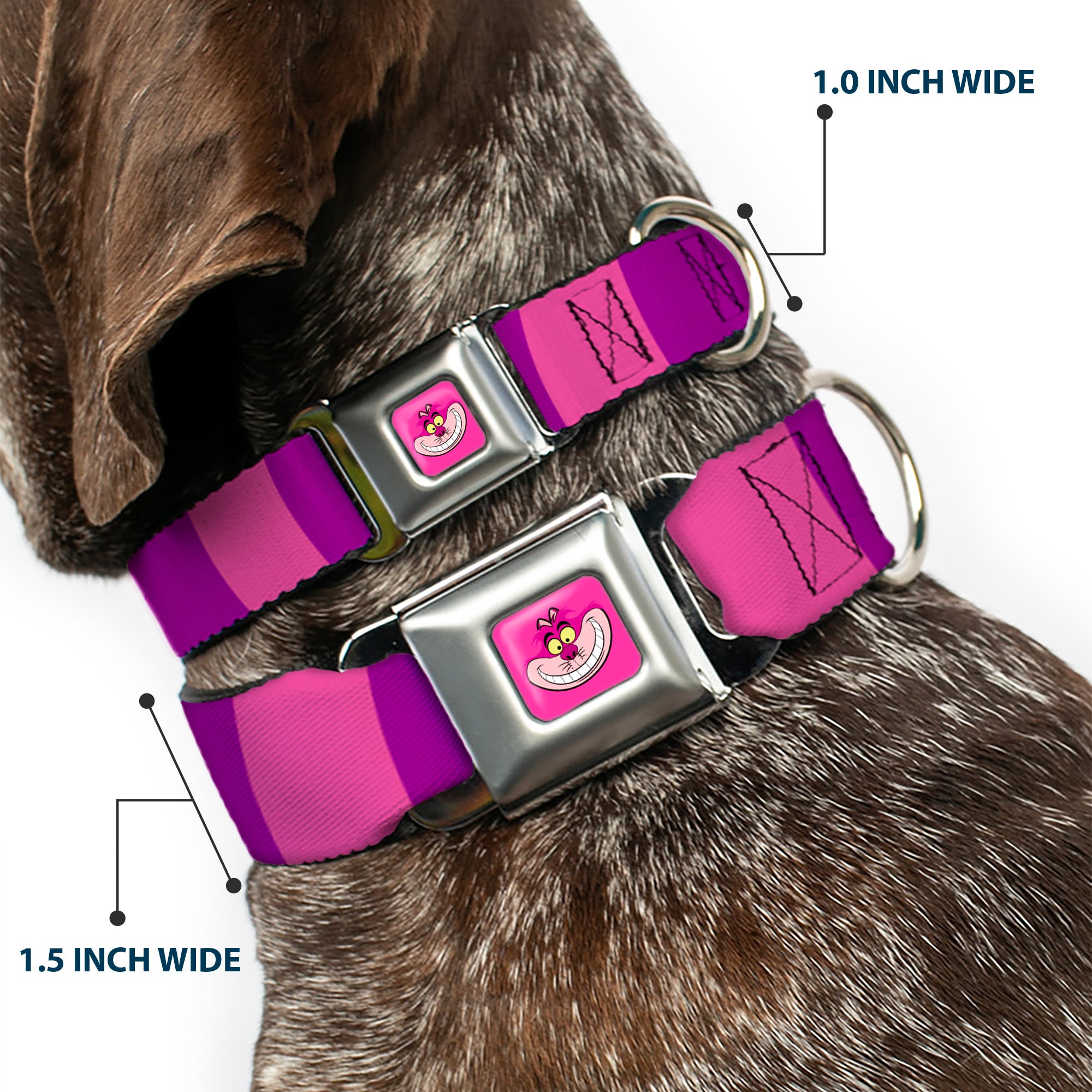 Cheshire Cat Face Full Color Pink Seatbelt Buckle Collar - Cheshire Cat Stripe Pink/Purple Seatbelt Buckle Collars Disney