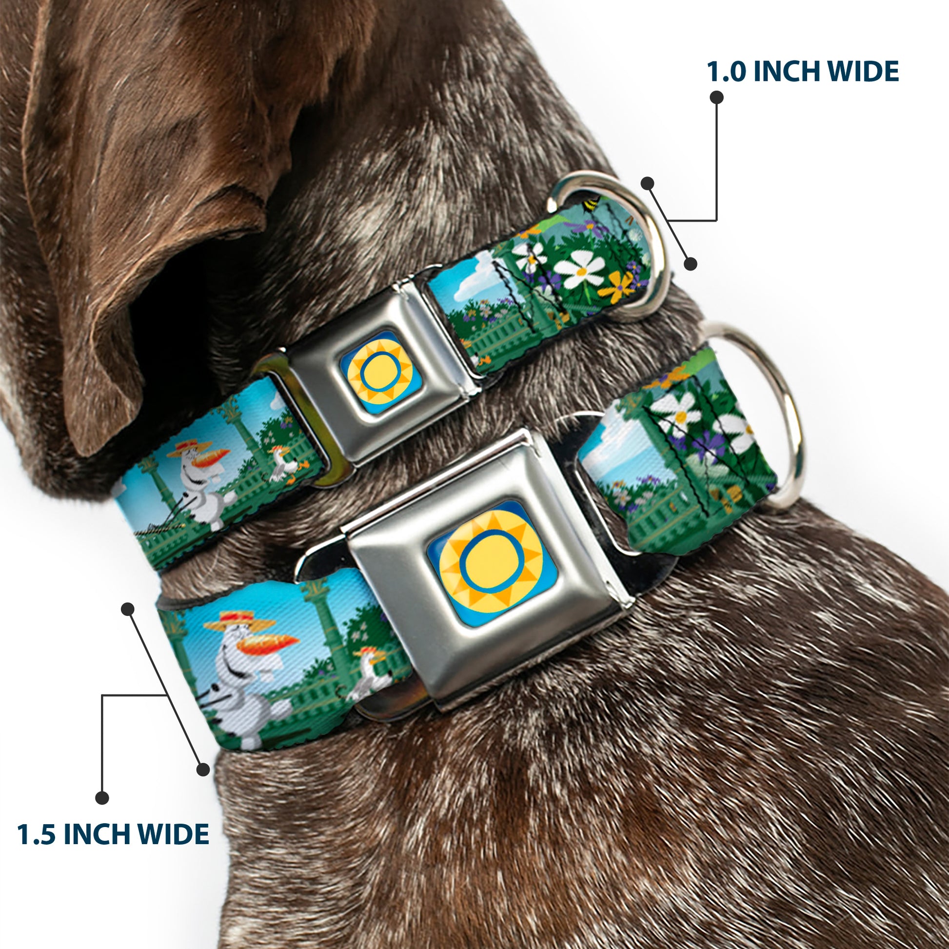 Frozen Sun2 Royal Full Color Blue/Yellows Seatbelt Buckle Collar - Olaf Garden Scenes Seatbelt Buckle Collars Disney