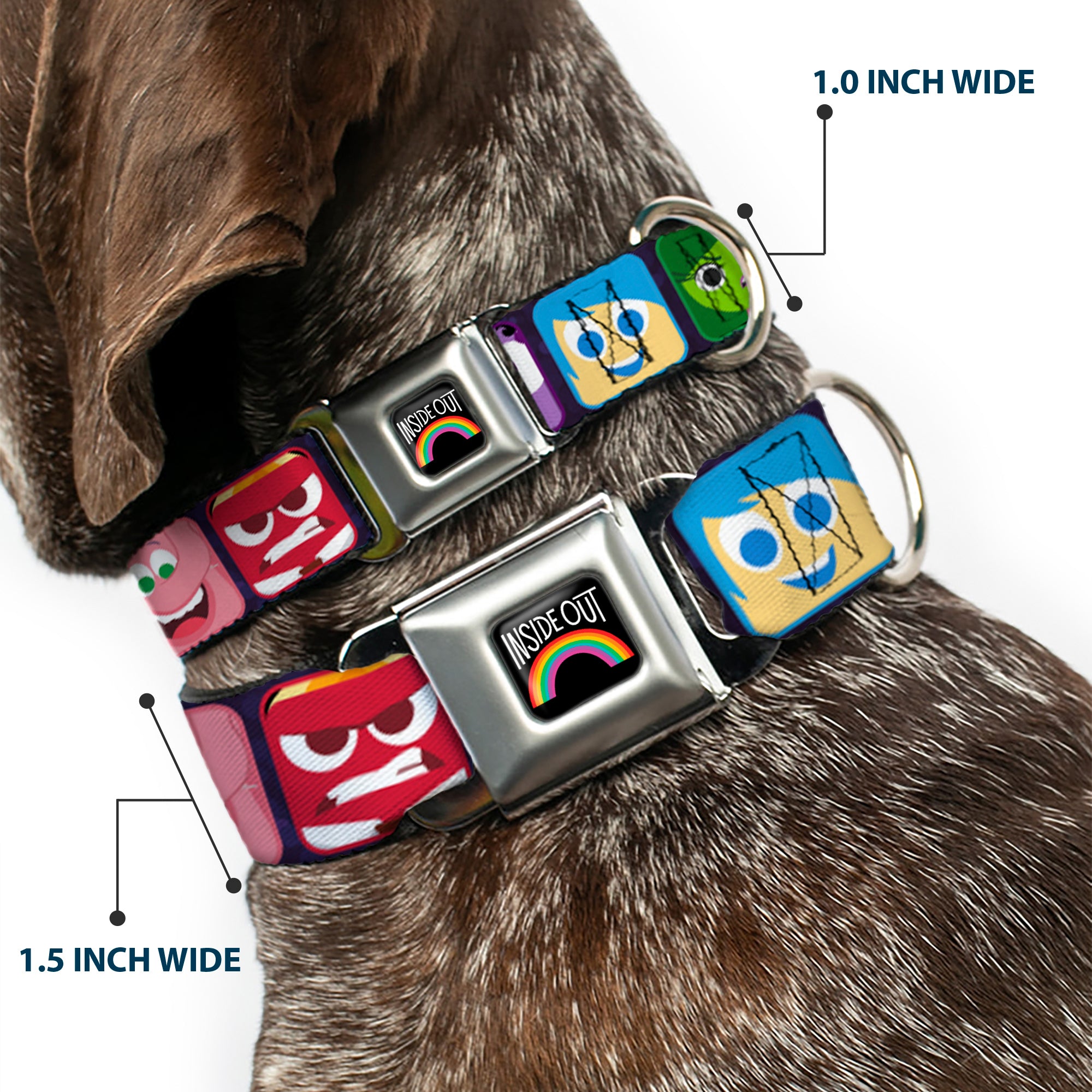 INSIDE OUT Rainbow Full Color Black White Multi Color Seatbelt Buckle Collar - Inside Out 6-Character Esxpression Blocks Purple/Multi Color Seatbelt Buckle Collars Disney