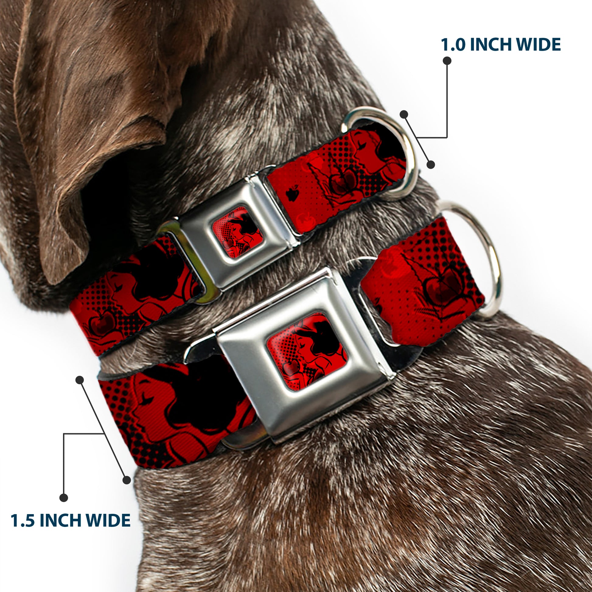 Snow White & Apple Full Color Reds/Black Seatbelt Buckle Collar - SNOW WHITE Poses/Apple Halftone Reds/Black Seatbelt Buckle Collars Disney