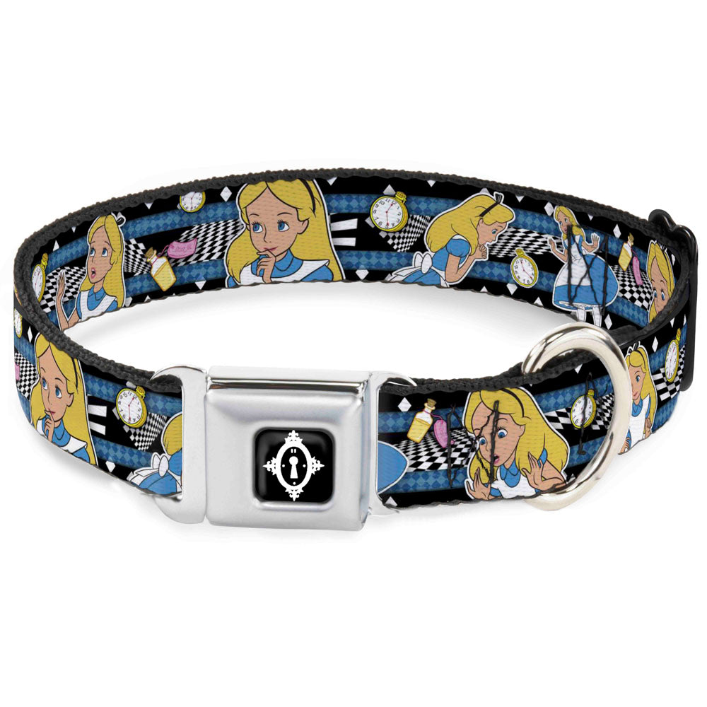 Alice Keyhole Full Color Black/White Seatbelt Buckle Collar - Alice in Wonderland Poses/Clock/Bottle Diamond/Stripe Black/White/Blues Seatbelt Buckle Collars Disney