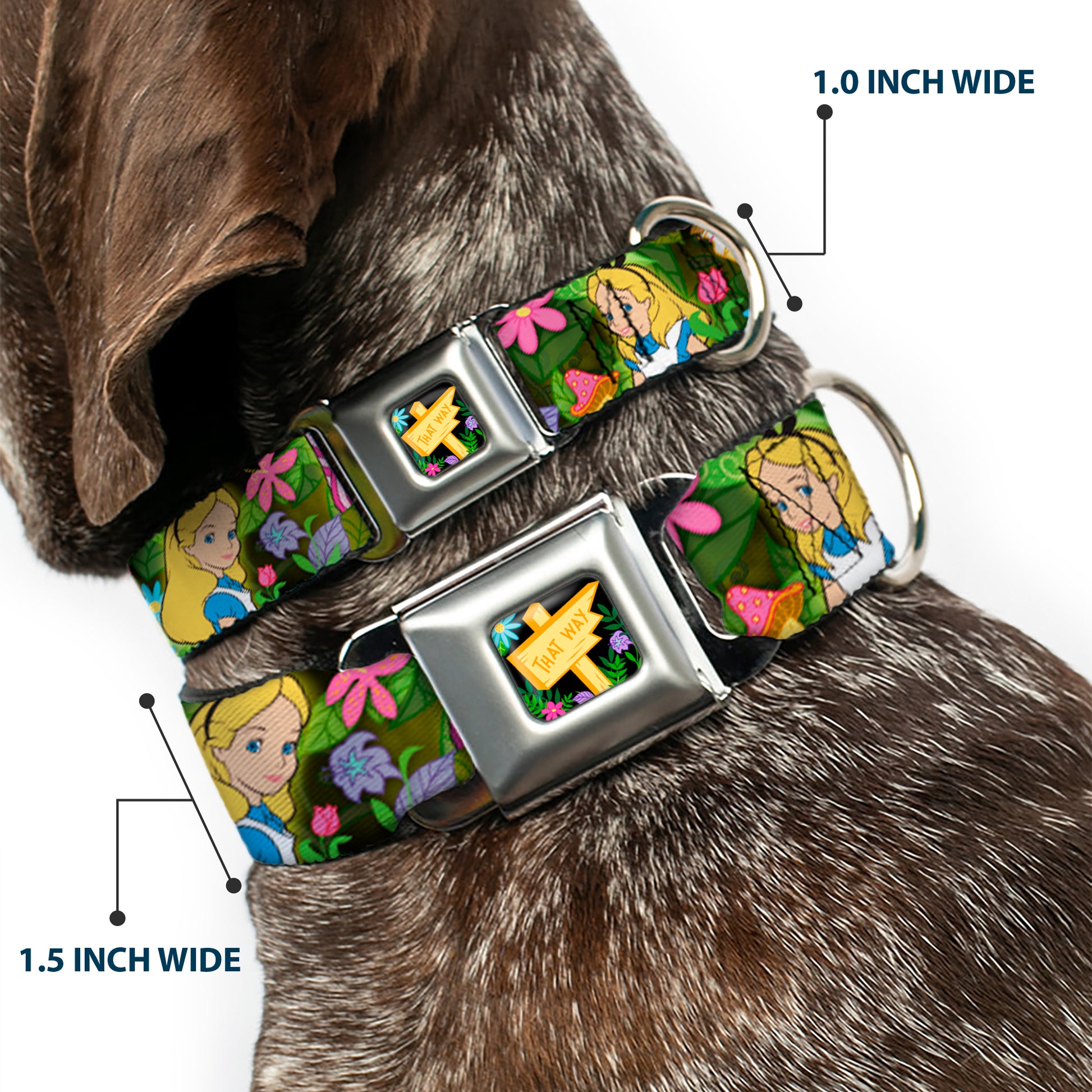 Alice in Wonderland THIS WAY Sign/Flowers Full Color Seatbelt Buckle Collar - Alice & Cheshire Cat Poses/Flowers Seatbelt Buckle Collars Disney
