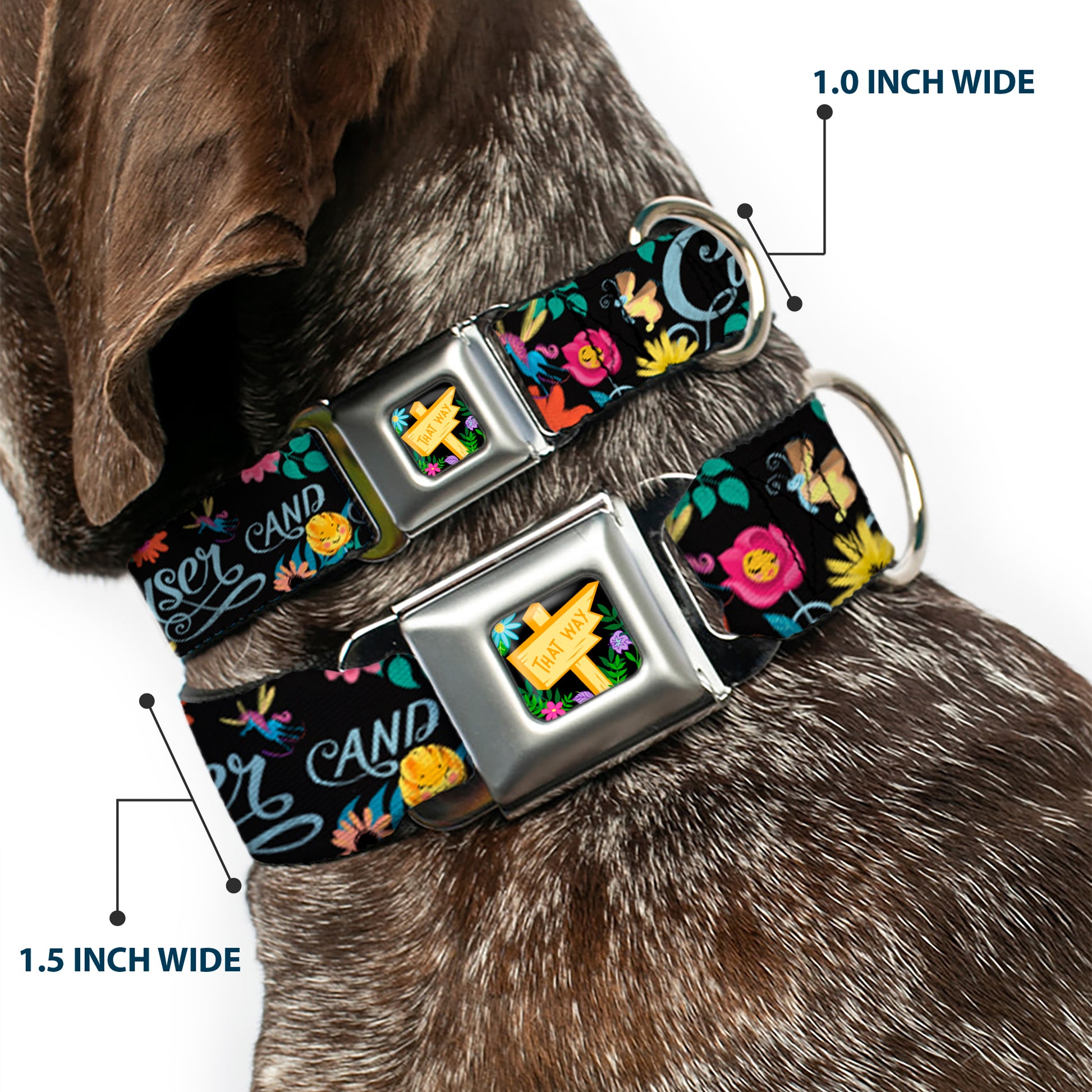 Alice in Wonderland THIS WAY Sign/Flowers Full Color Seatbelt Buckle Collar - CURIOUSER AND CURIOUSER/Flowers of Wonderland Collage Seatbelt Buckle Collars Disney