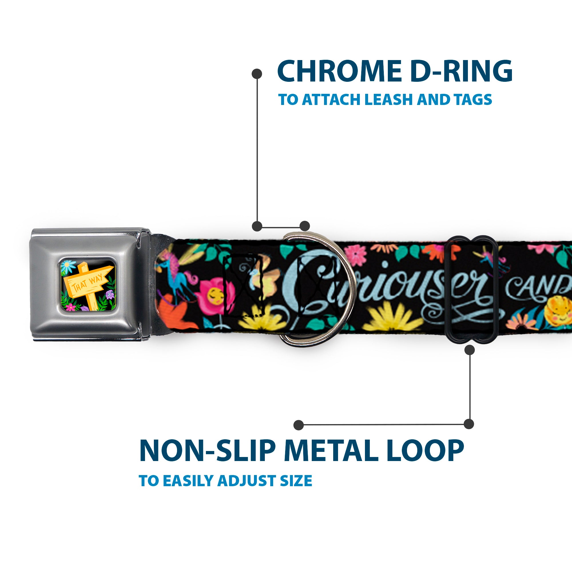 Alice in Wonderland THIS WAY Sign/Flowers Full Color Seatbelt Buckle Collar - CURIOUSER AND CURIOUSER/Flowers of Wonderland Collage Seatbelt Buckle Collars Disney