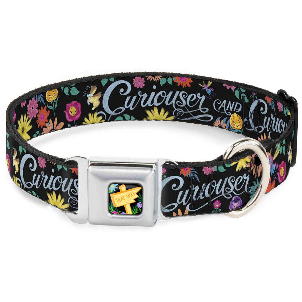 Alice in Wonderland THIS WAY Sign/Flowers Full Color Seatbelt Buckle Collar - CURIOUSER AND CURIOUSER/Flowers of Wonderland Collage Seatbelt Buckle Collars Disney