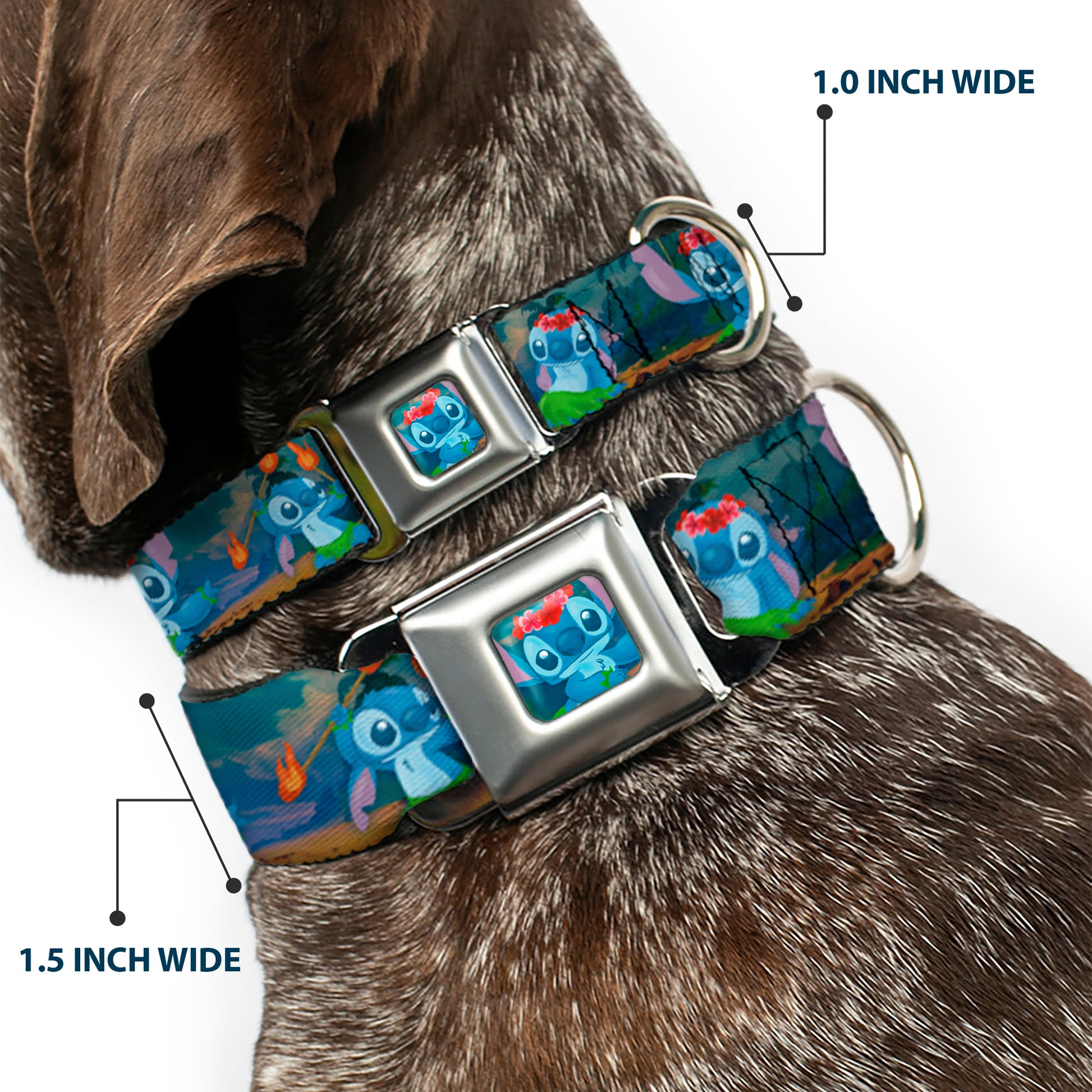 Stitch Hula Pose Full Color Seatbelt Buckle Collar - Stitch Hula Dance 5-Poses Seatbelt Buckle Collars Disney