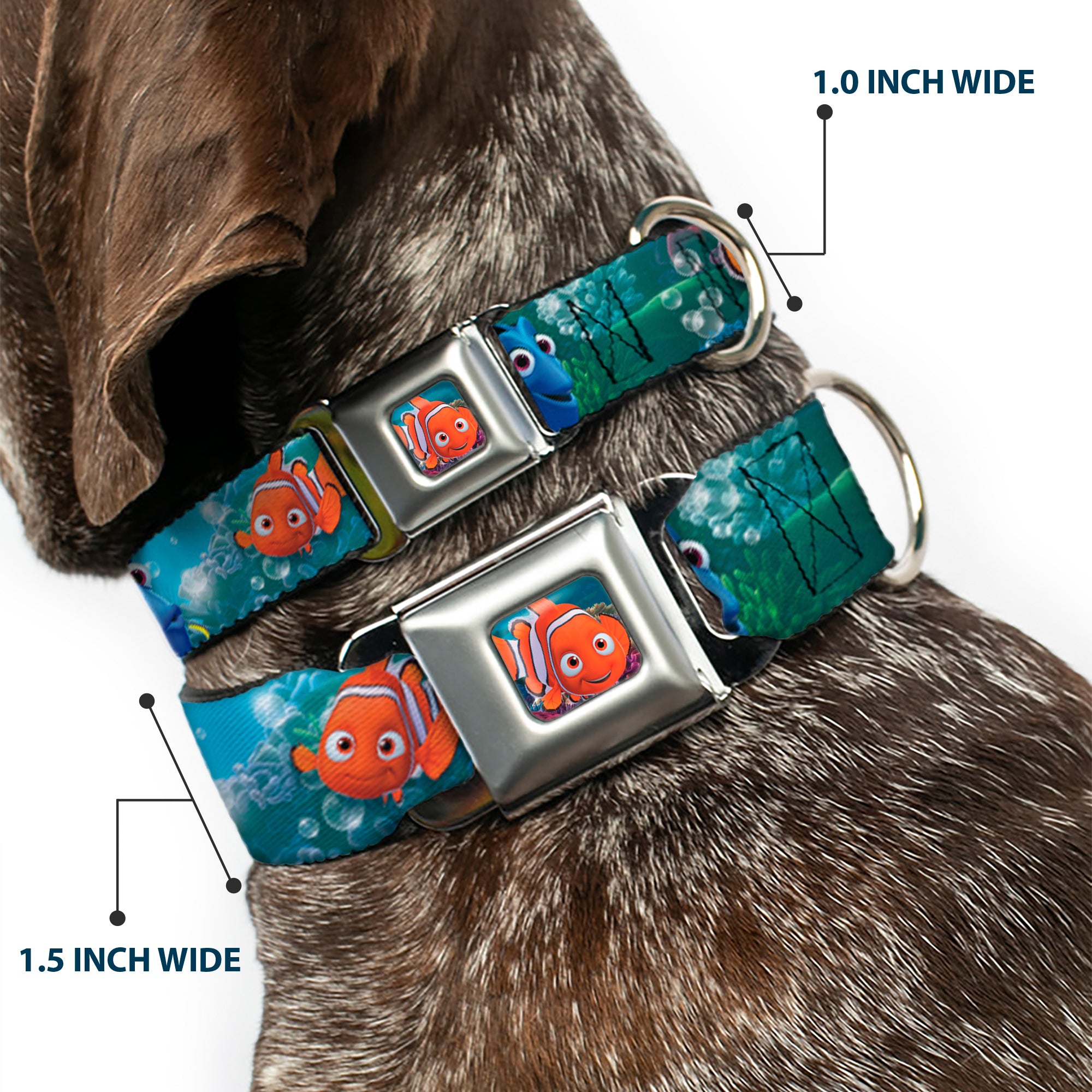 Nemo Smiling Full Color Seatbelt Buckle Collar - Nemo & Dory Poses Seatbelt Buckle Collars Disney