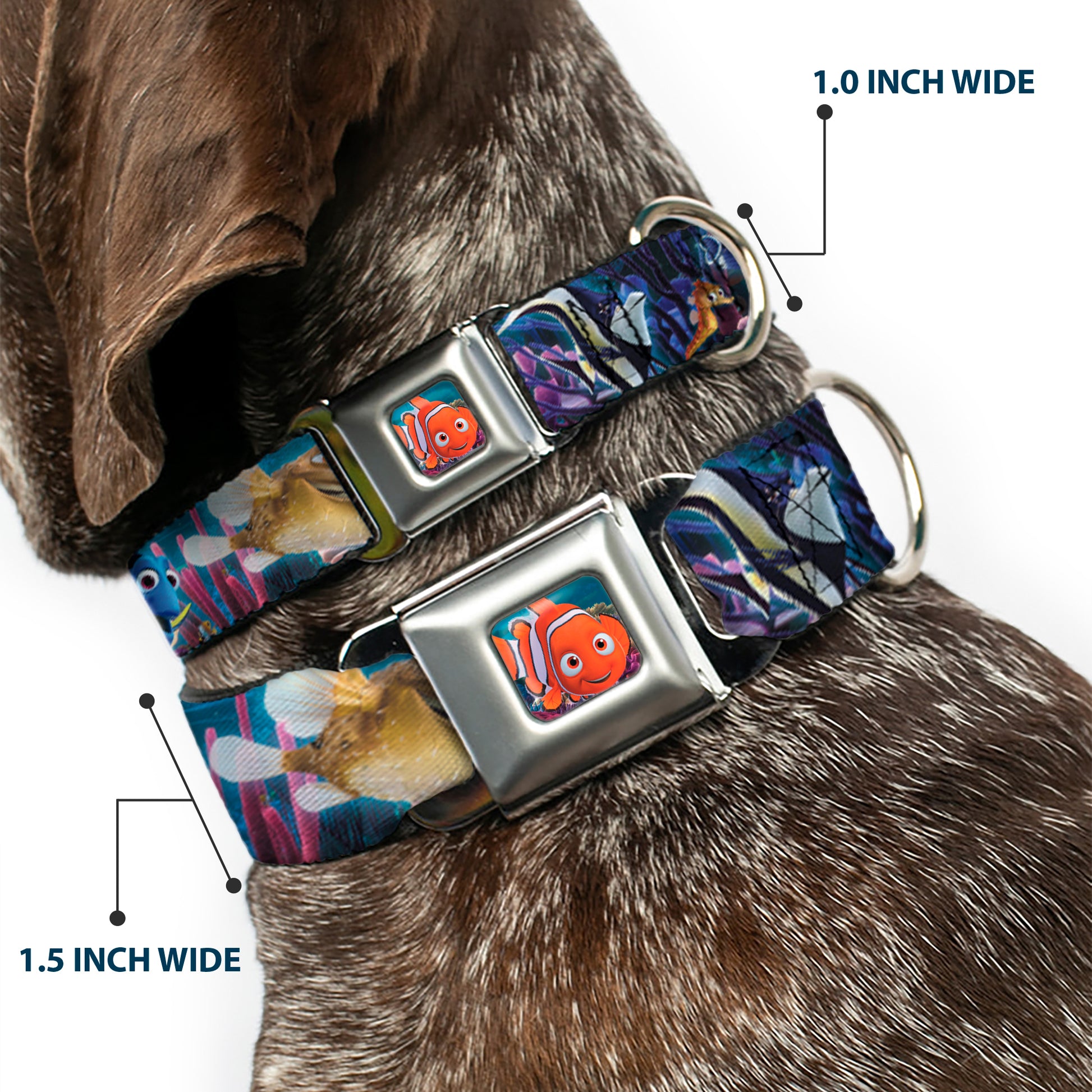 Nemo Smiling Full Color Seatbelt Buckle Collar - Nemo & Friends Group Seatbelt Buckle Collars Disney