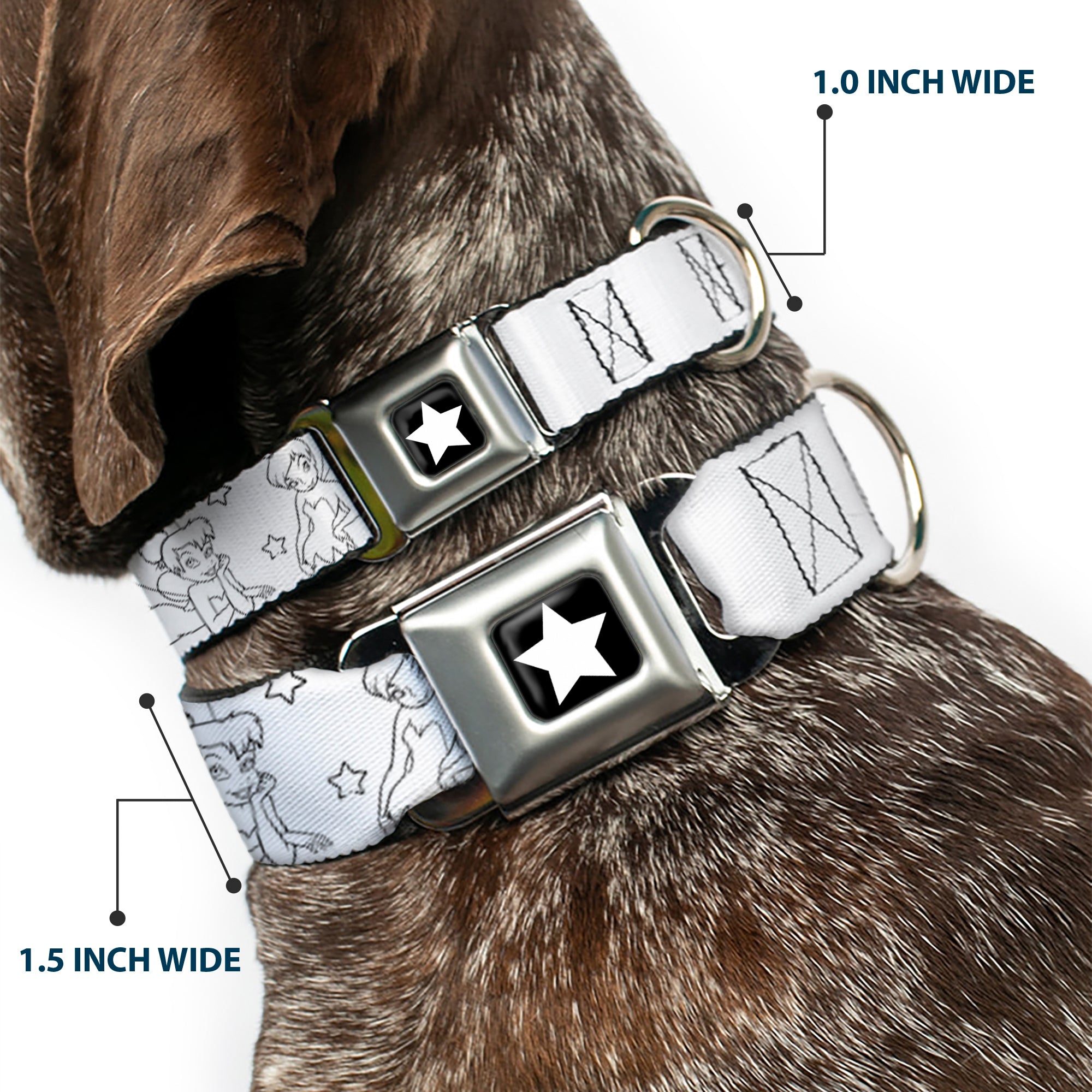 Tinker Bell Star Full Color Black/White Seatbelt Buckle Collar - Tinker Bell Poses/Stars Outline White/Black Seatbelt Buckle Collars Disney