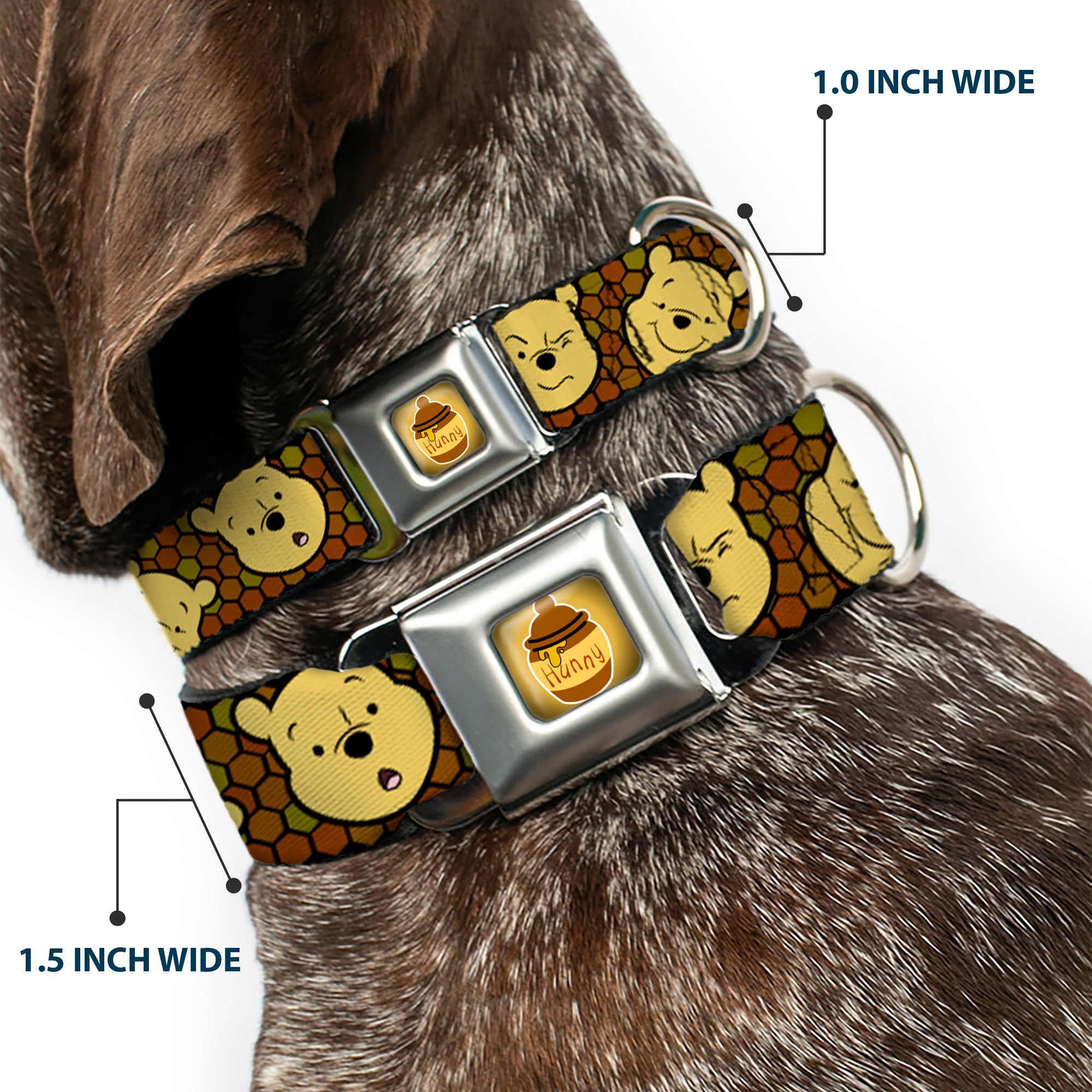 HUNNY Pot Full Color Black/Browns Seatbelt Buckle Collar - Winnie the Pooh Expressions/Honeycomb Black/Browns Seatbelt Buckle Collars Disney