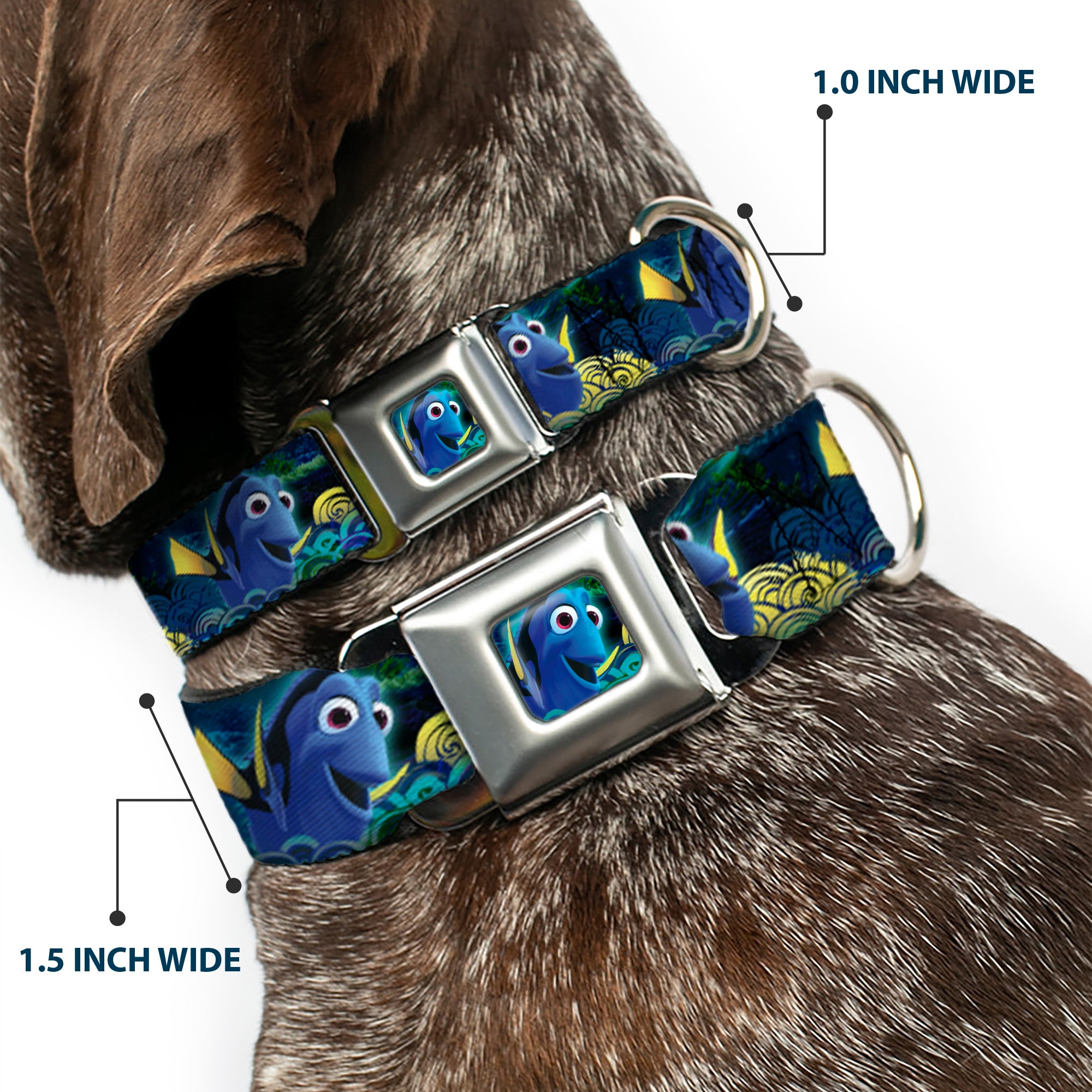 Dory Pose2/Swirls Full Color Blues/Yellows Seatbelt Buckle Collar - Dory Poses/Swirls Blues/Yellows Seatbelt Buckle Collars Disney