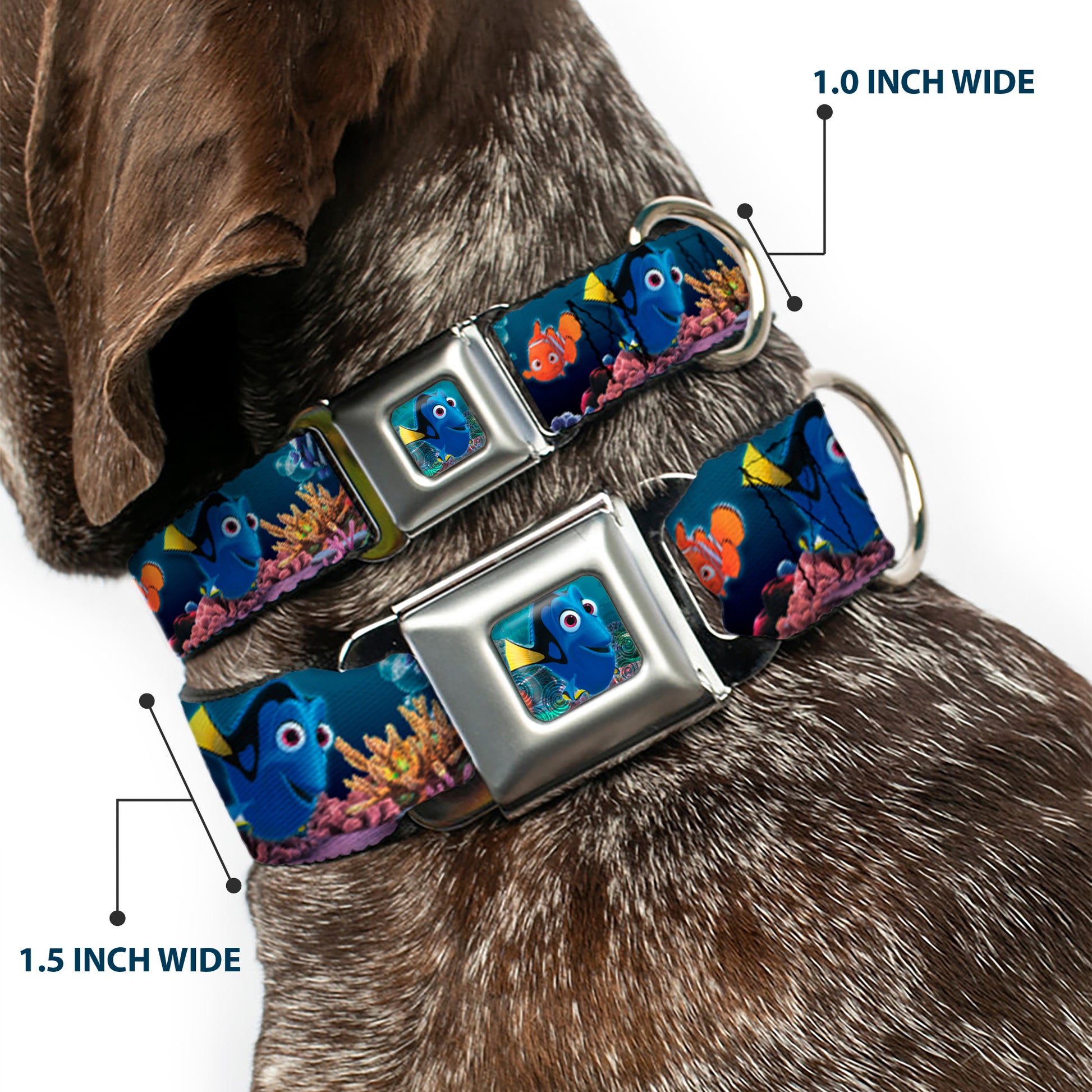 Dory Pose Full Color Seatbelt Buckle Collar - Dory Poses & Friends Under the Sea Seatbelt Buckle Collars Disney