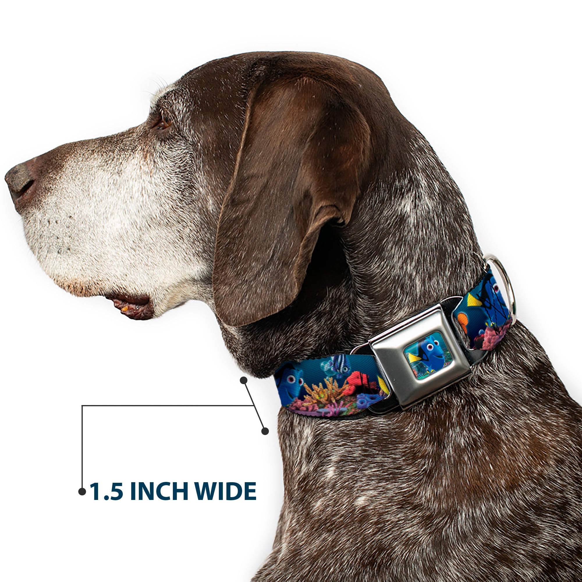 Dory Pose Full Color Seatbelt Buckle Collar - Dory Poses & Friends Under the Sea Seatbelt Buckle Collars Disney