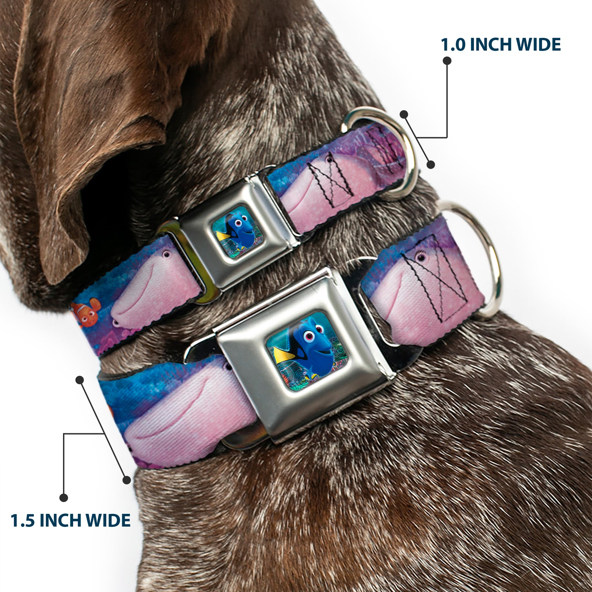 Dory Pose Seatbelt Buckle Collar - Dory & 5-Friends Under the Sea Seatbelt Buckle Collars Disney