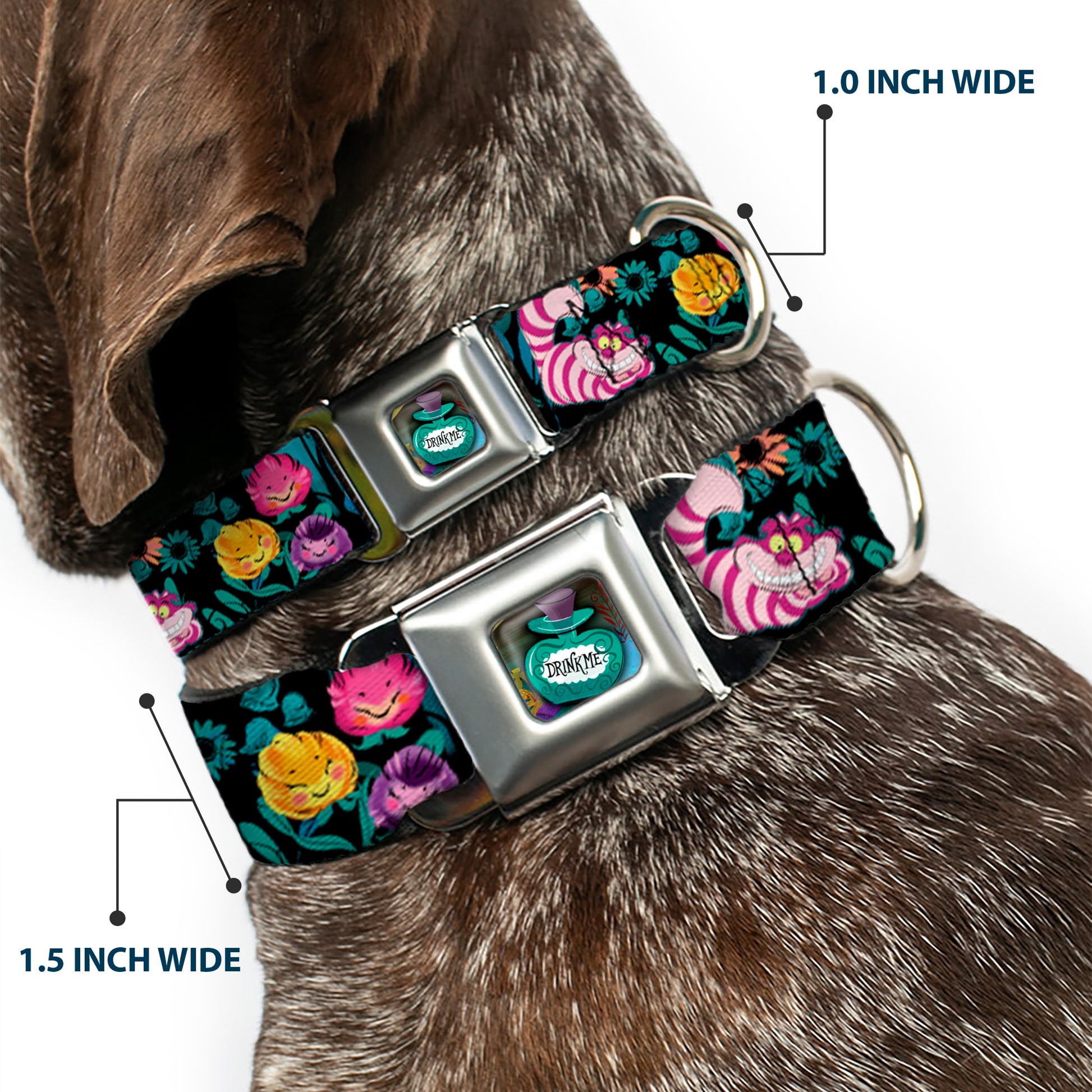 Alice in Wonderland DRINK ME Bottle Full Color Seatbelt Buckle Collar - Alice/Cheshire Cat/Flowers Poses Black/Multi Color Seatbelt Buckle Collars Disney