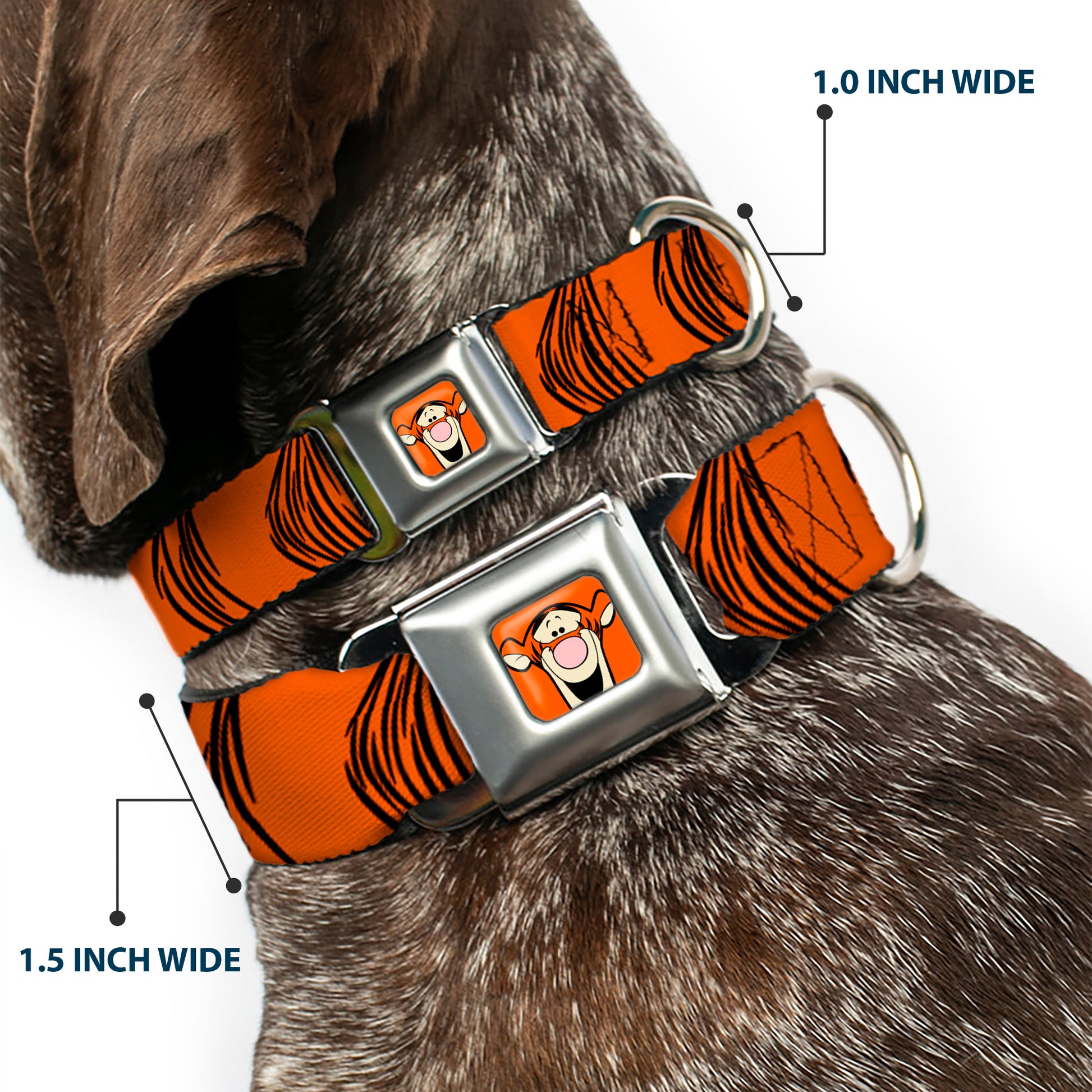 Tigger Face CLOSE-UP Full Color Orange Seatbelt Buckle Collar - Tigger Stripes Orange/Black Seatbelt Buckle Collars Disney