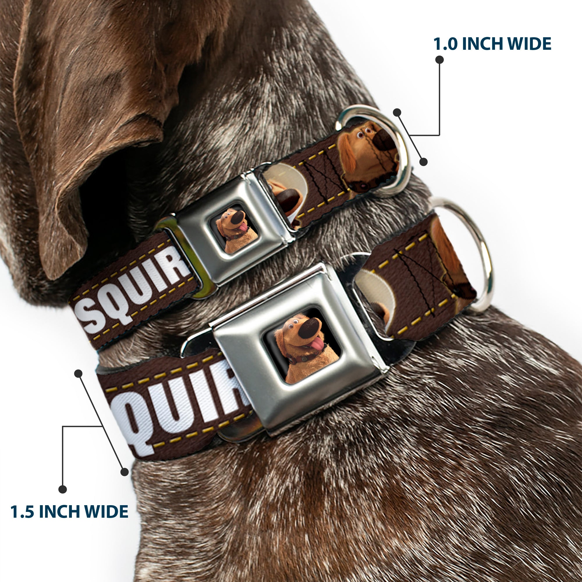 Dug Tongue Out Pose Full Color Black Seatbelt Buckle Collar - Dug 3-Poses/SQUIRREL! Brown/Yellow/White Seatbelt Buckle Collars Disney