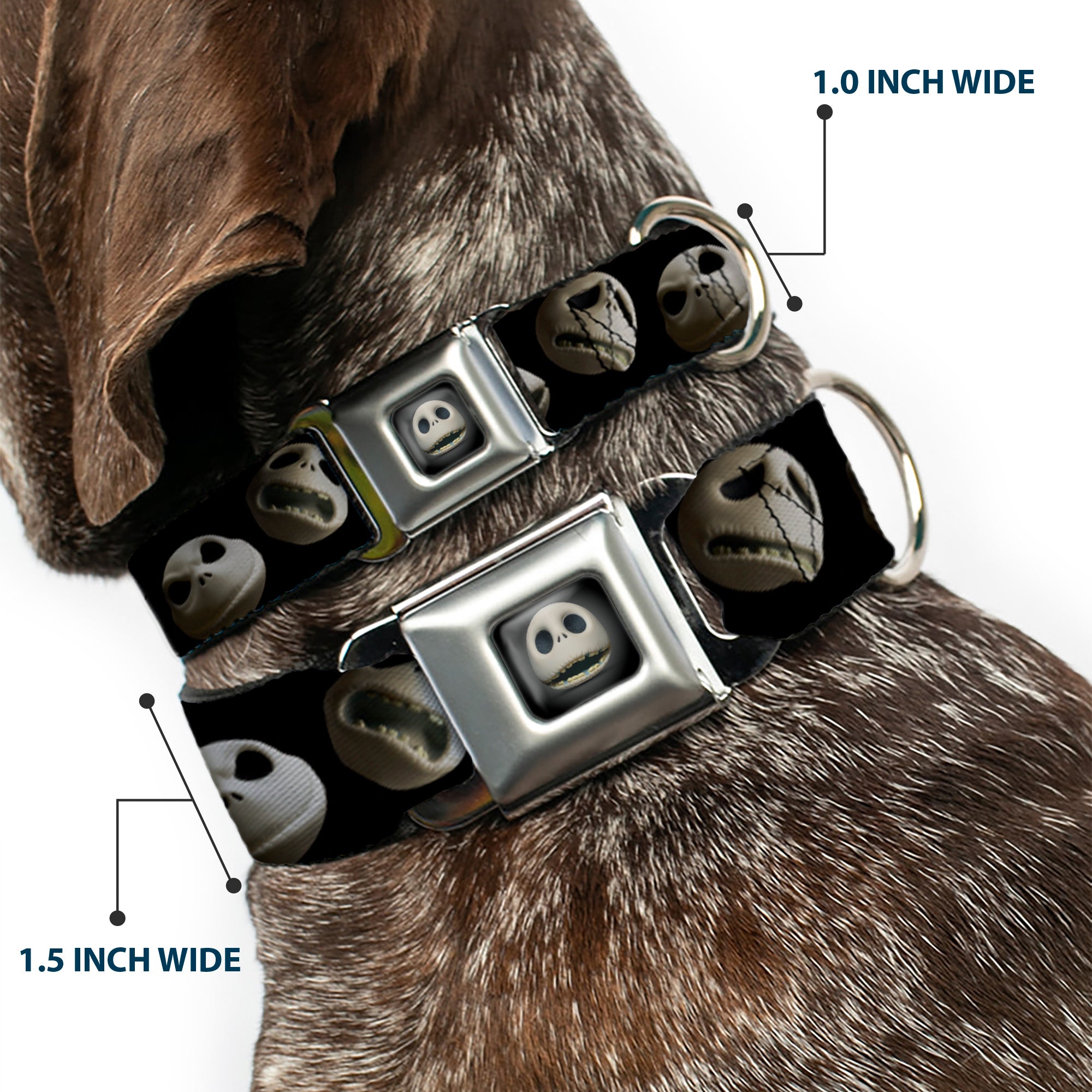 Jack Expression12 Full Color Seatbelt Buckle Collar - Jack 10-Expressions Staggered Black Seatbelt Buckle Collars Disney