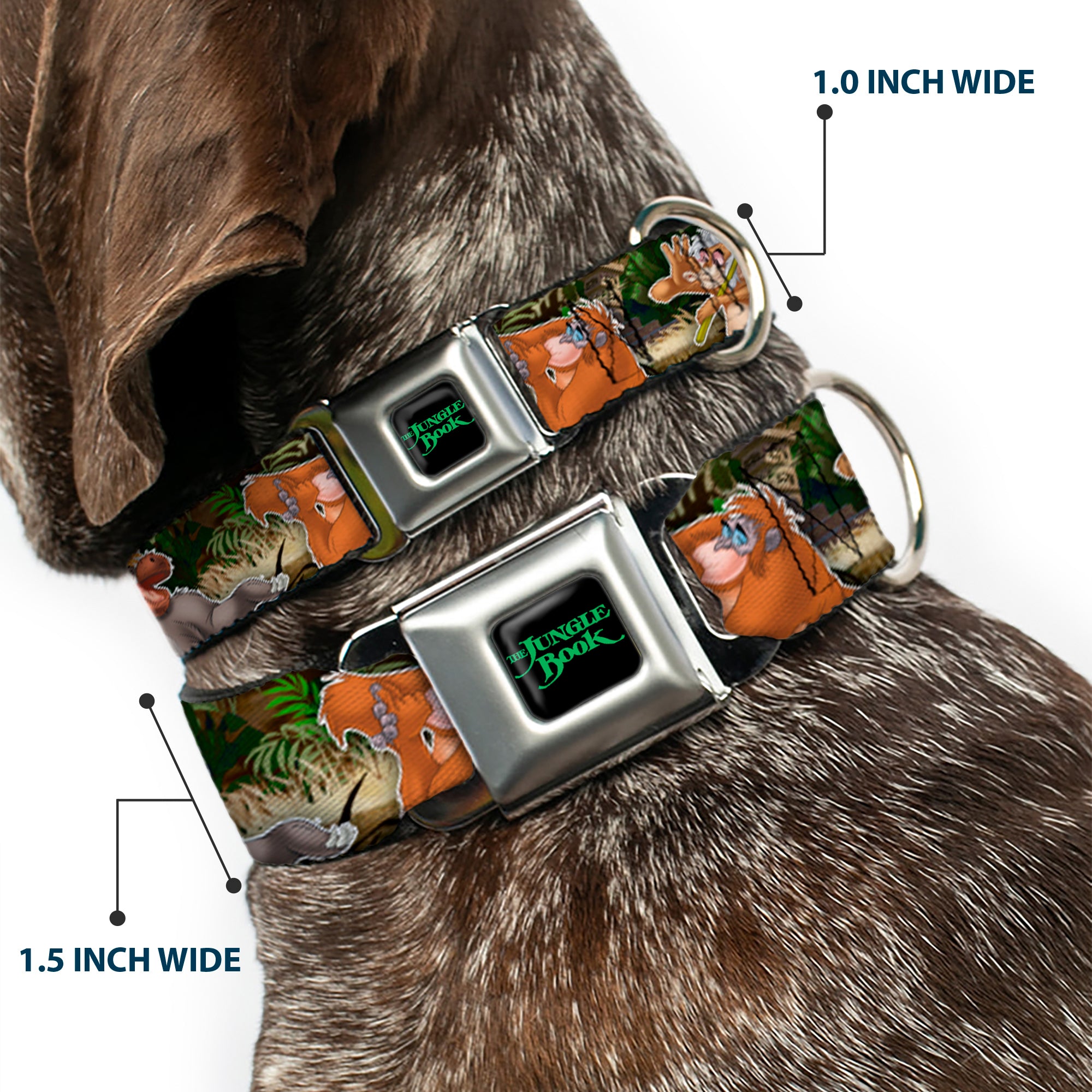 THE JUNGLE BOOK Full Color Black/Green Seatbelt Buckle Collar - The Jungle Book I Wanna Be Like You 4-Character Scene Seatbelt Buckle Collars Disney