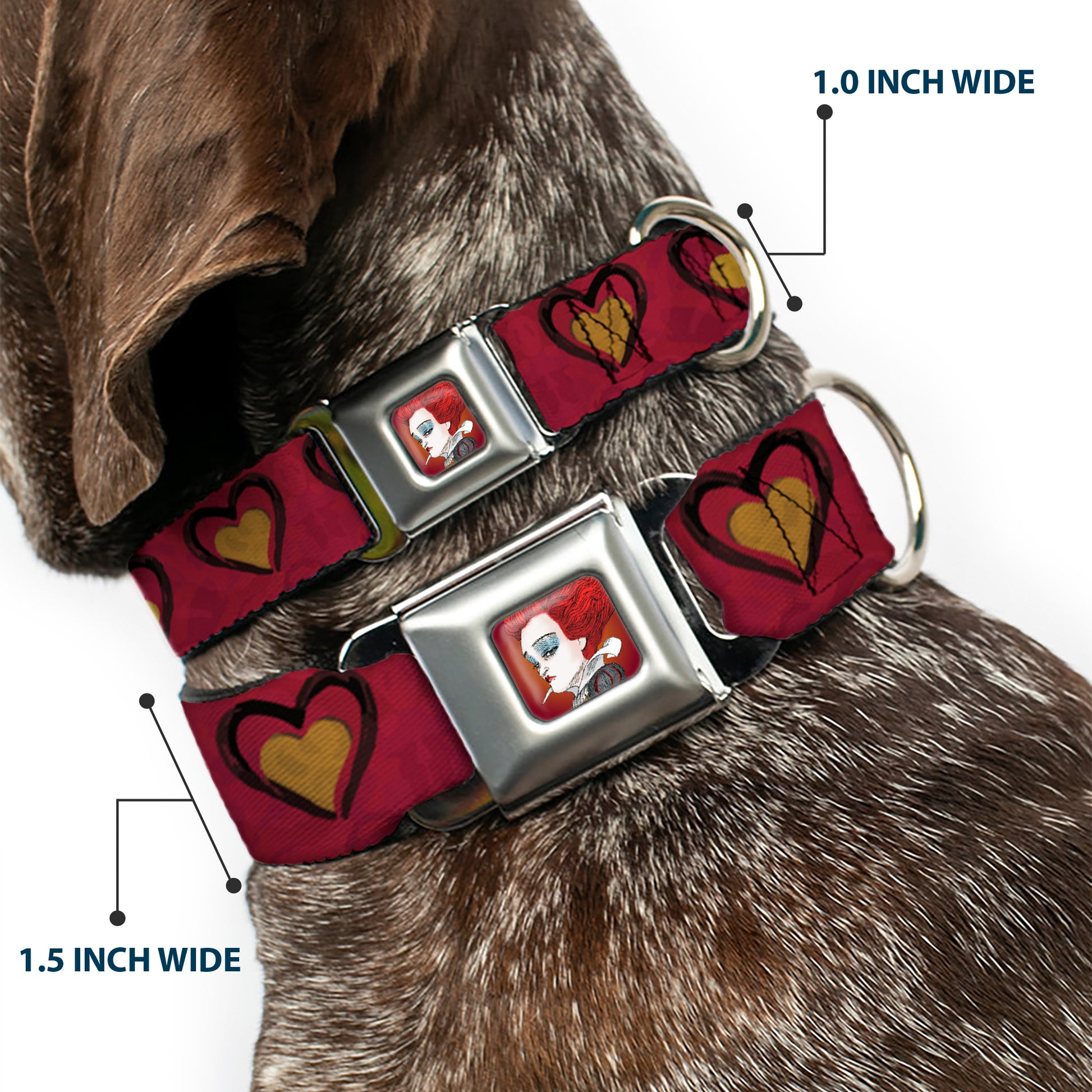 Alice in Wonderland Queen Face Full Color Red Seatbelt Buckle Collar - Alice in Wonderland Queen's Hearts Reds/Black/Gold Seatbelt Buckle Collars Disney