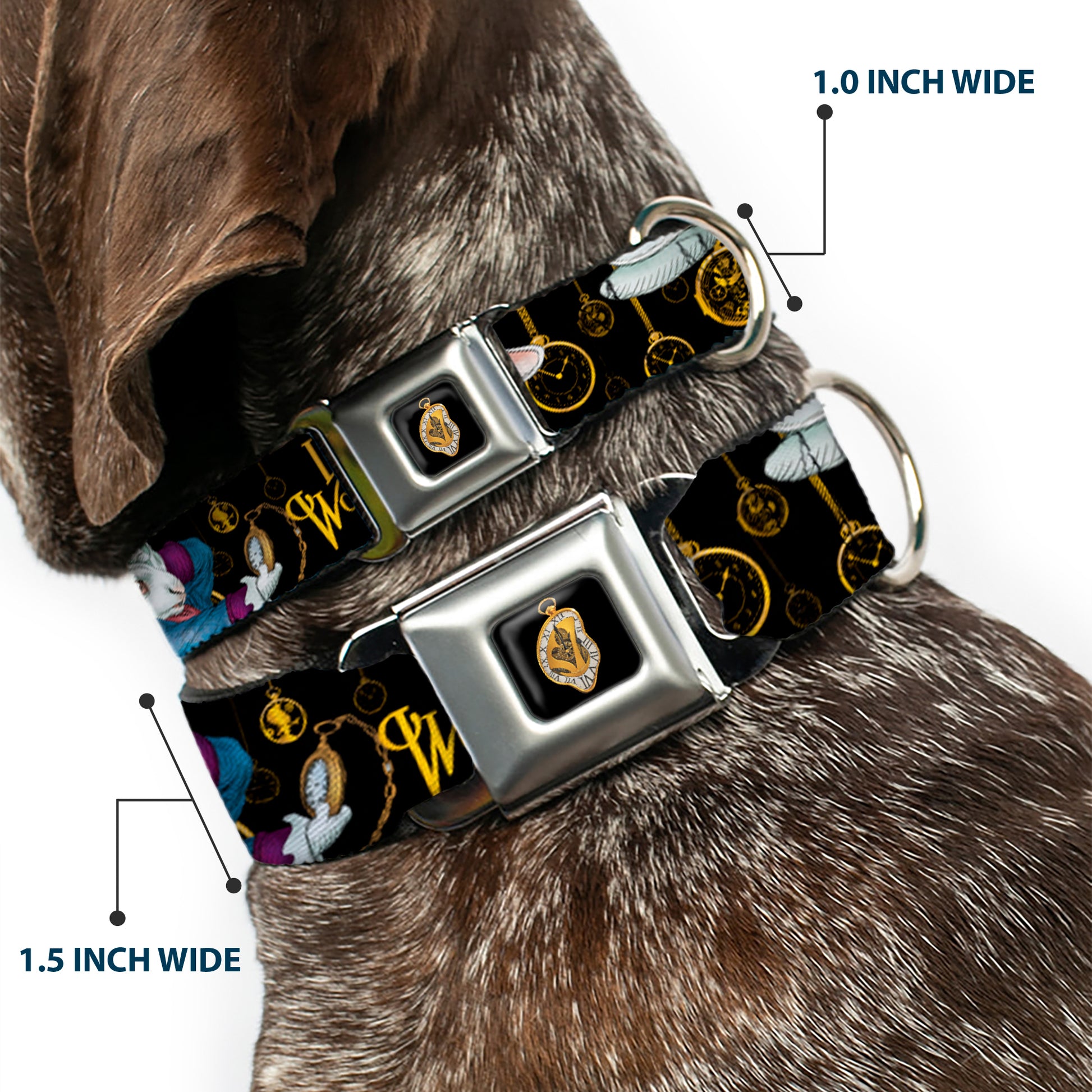 Alice in Wonderland Clock Full Color Black/Gold/White Seatbelt Buckle Collar - White Rabbit Poses LOOKING FOR WONDERLAND/Clocks Black/Golds Seatbelt Buckle Collars Disney