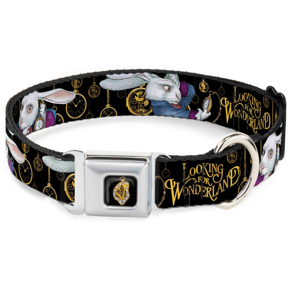 Alice in Wonderland Clock Full Color Black/Gold/White Seatbelt Buckle Collar - White Rabbit Poses LOOKING FOR WONDERLAND/Clocks Black/Golds Seatbelt Buckle Collars Disney