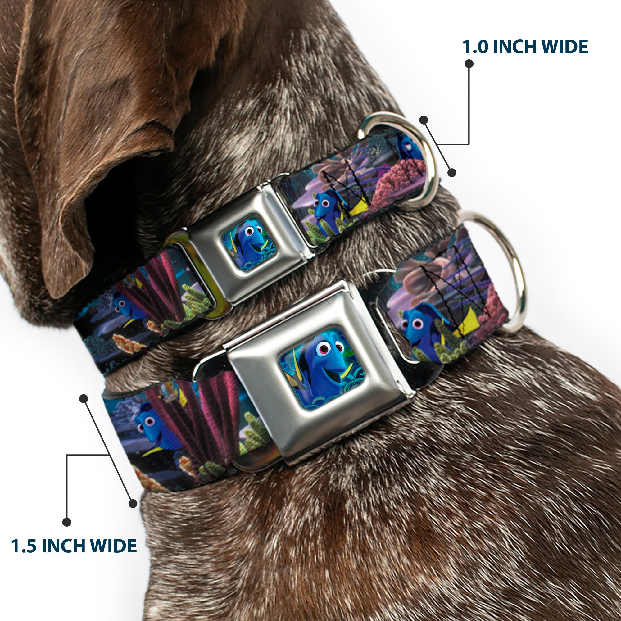 Dory Pose3/Swirls Full Color Blues Seatbelt Buckle Collar - Dory 4-Hiding Poses Under the Sea Seatbelt Buckle Collars Disney