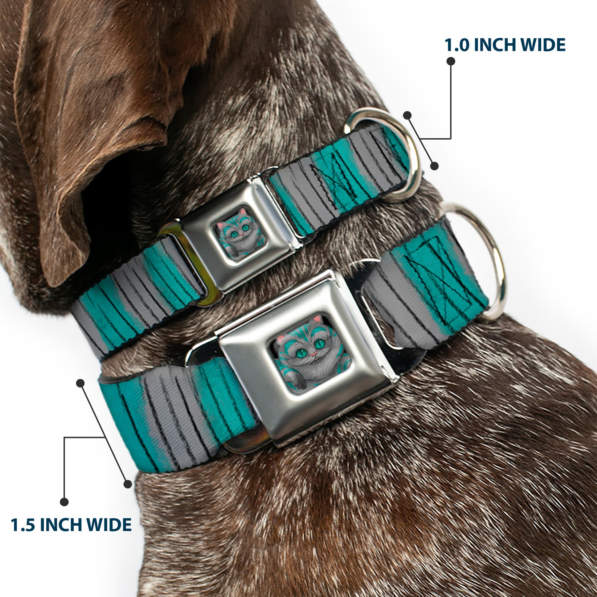 Alice Through the Looking Glass Cheshire Cat Pose Full Color Black Seatbelt Buckle Collar - Cheshire Cat Stripes Gray/Teal/Black Seatbelt Buckle Collars Disney