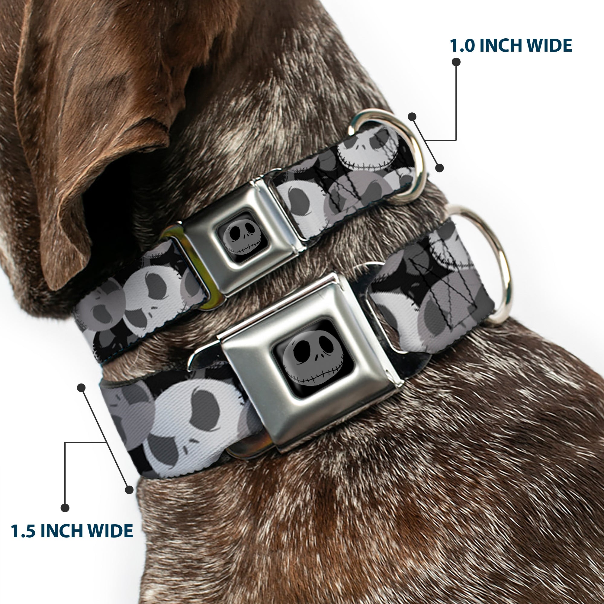 Jack Expression5 Black Silver Seatbelt Buckle Collar - Nightmare Before Christmas Jack Expression Stacked Black/Grays Seatbelt Buckle Collars Disney