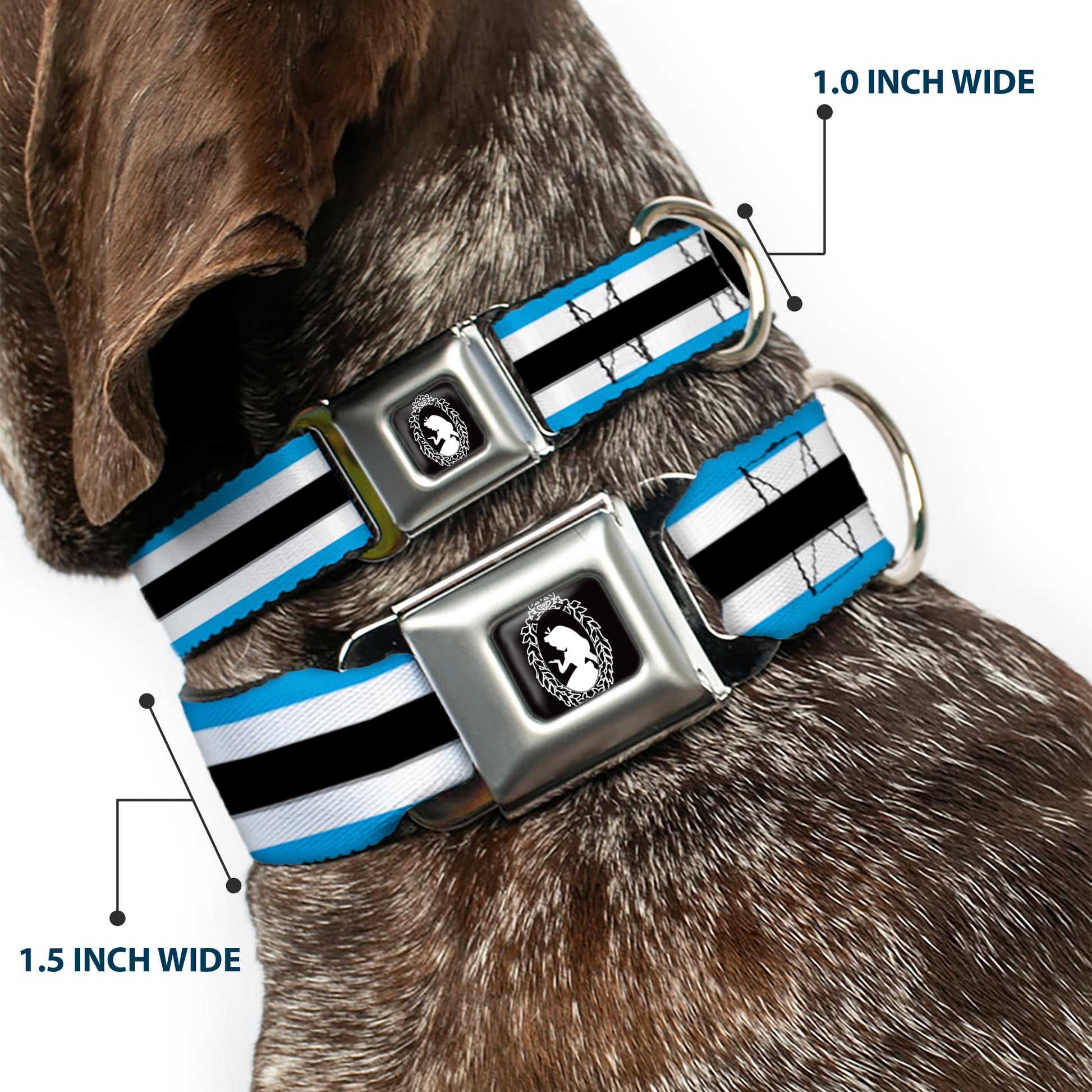 Alice Silhouette Cameo Pose Black White Seatbelt Buckle Collar - Alice in Wonderland Stripe/Bow Silhouette Blue/Black/White Seatbelt Buckle Collars Disney