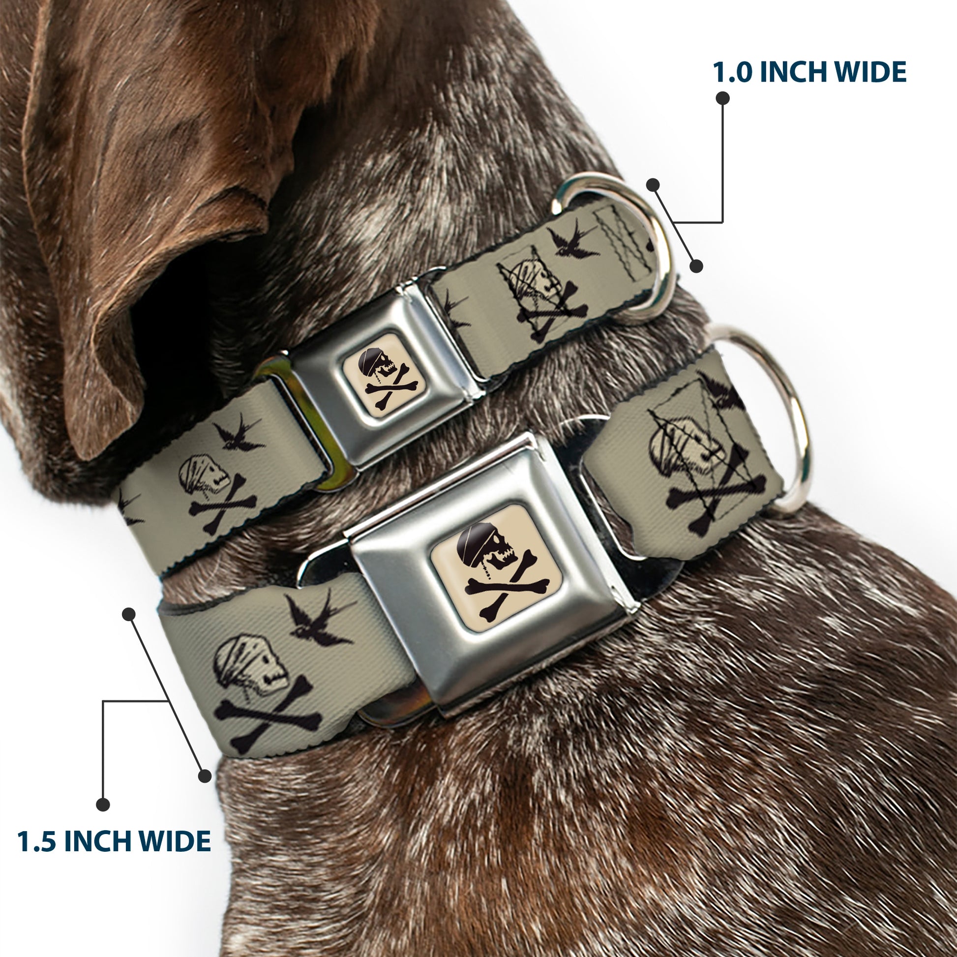 Jack Sparrow's Flag Skull Icon Gray Charcoal Seatbelt Buckle Collar - Jack Sparrow's Flag Icons Grays Seatbelt Buckle Collars Disney
