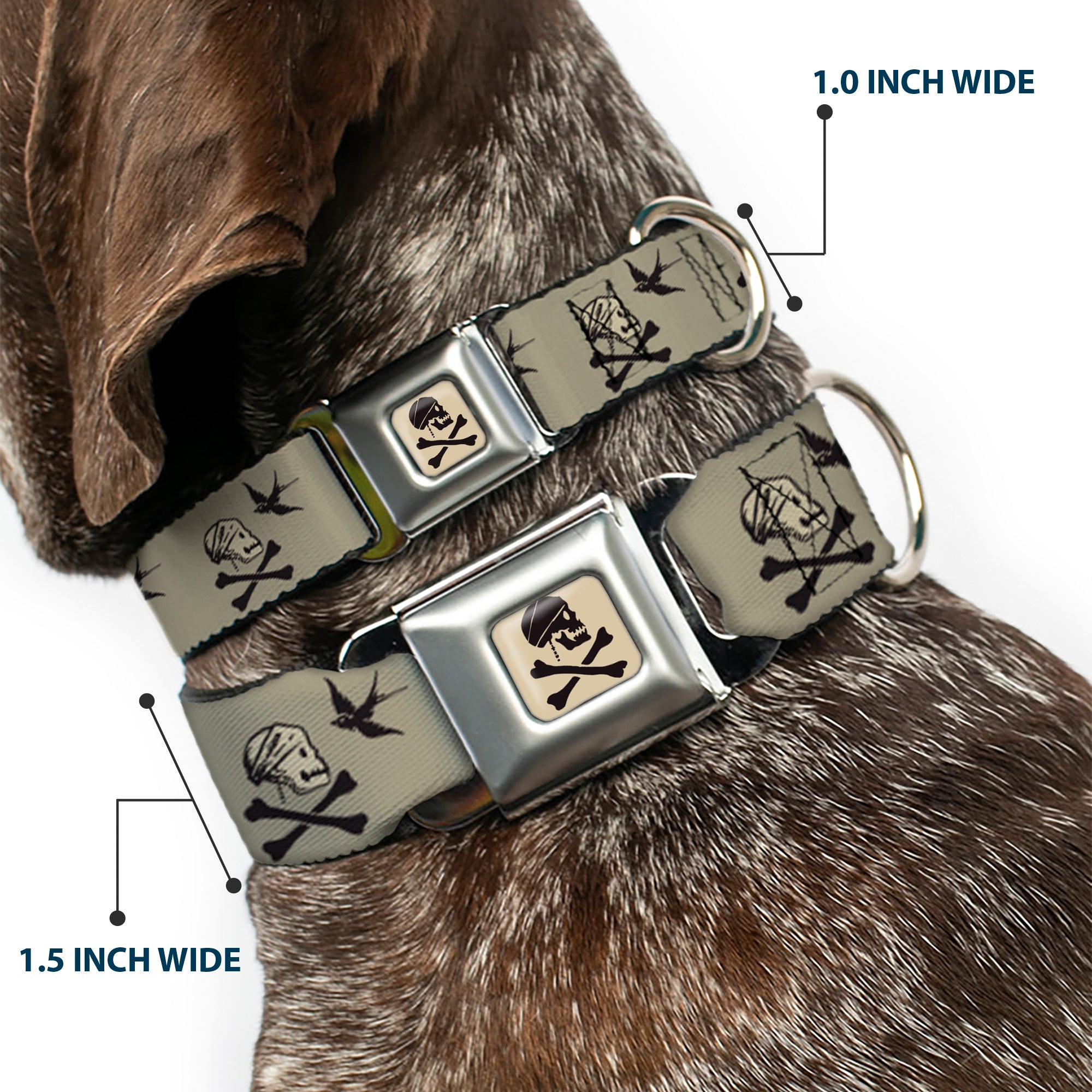 Jack Sparrow's Flag Skull Icon Gray Charcoal Seatbelt Buckle Collar - Jack Sparrow's Flag Icons Grays Seatbelt Buckle Collars Disney