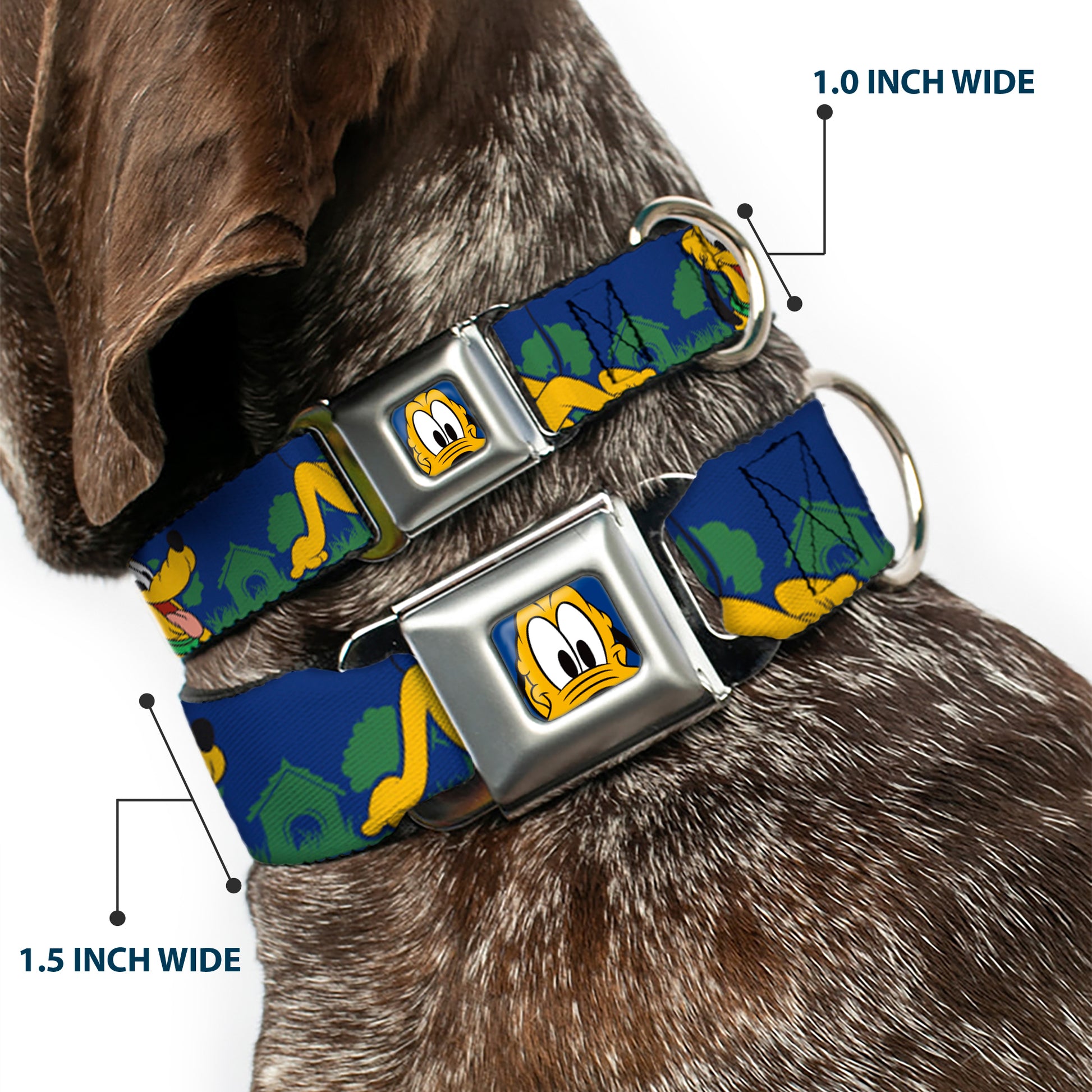 Pluto Face CLOSE-UP Blue Seatbelt Buckle Collar - Pluto 4-Poses/Landscape Blue/Green Seatbelt Buckle Collars Disney