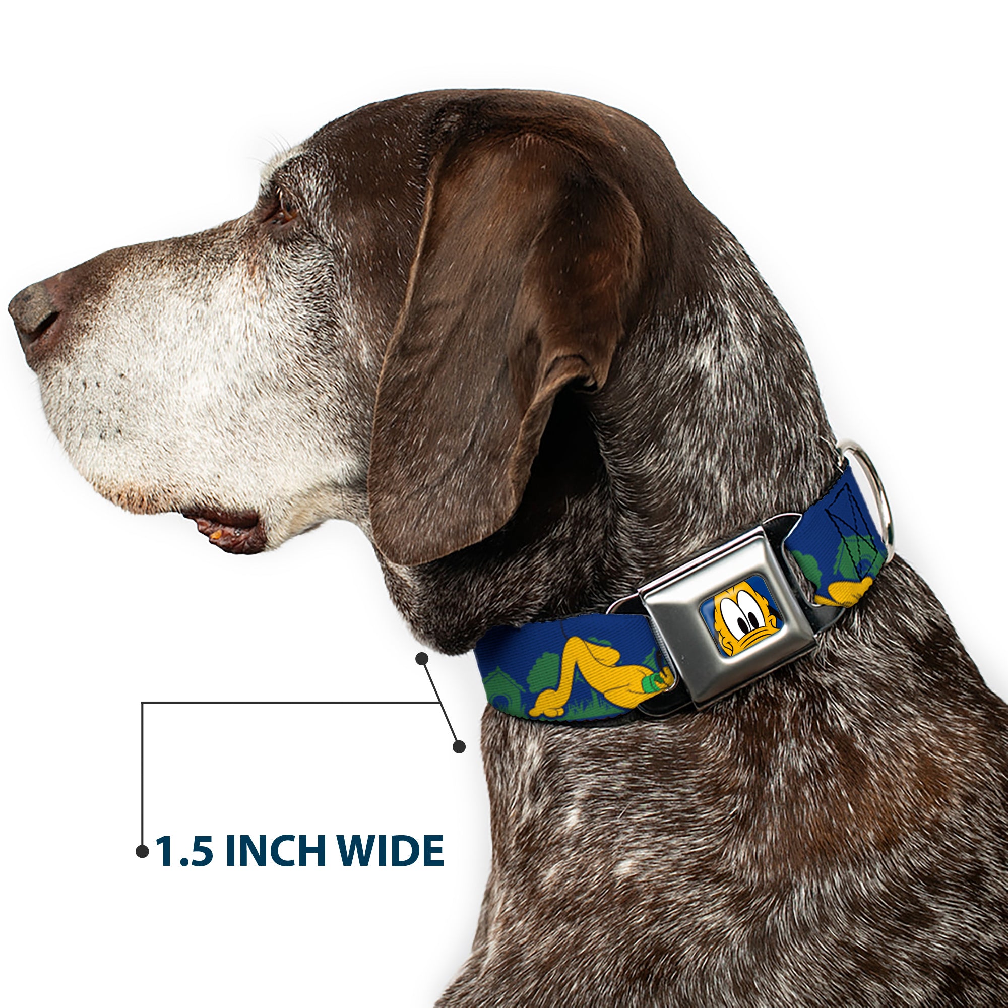Pluto Face CLOSE-UP Blue Seatbelt Buckle Collar - Pluto 4-Poses/Landscape Blue/Green Seatbelt Buckle Collars Disney