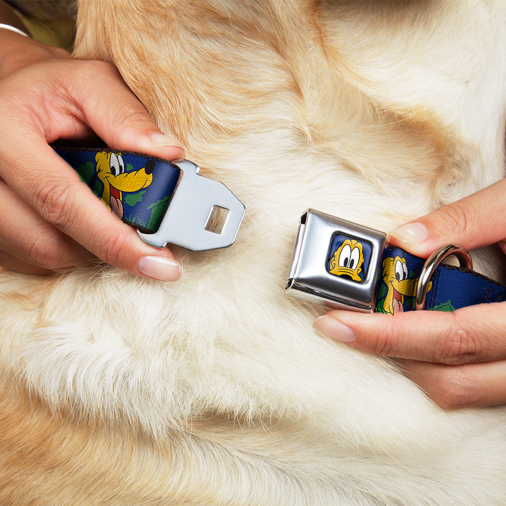 Pluto Face CLOSE-UP Blue Seatbelt Buckle Collar - Pluto 4-Poses/Landscape Blue/Green Seatbelt Buckle Collars Disney